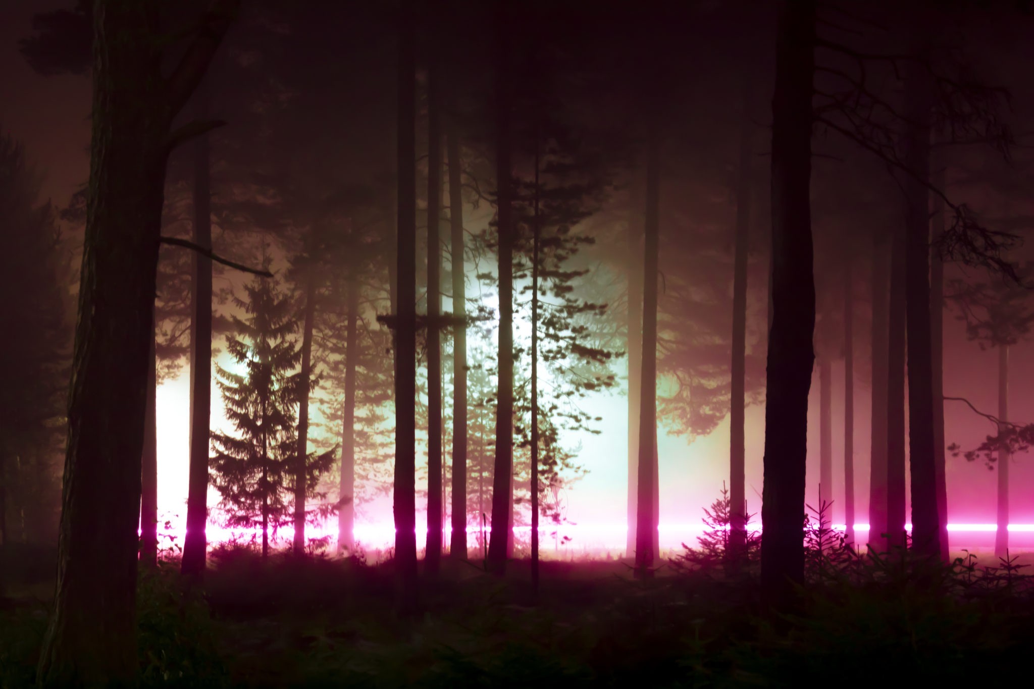 Лес ночью. Из фотопроекта Какой-то небесный огонь. Автор Мария Лакс