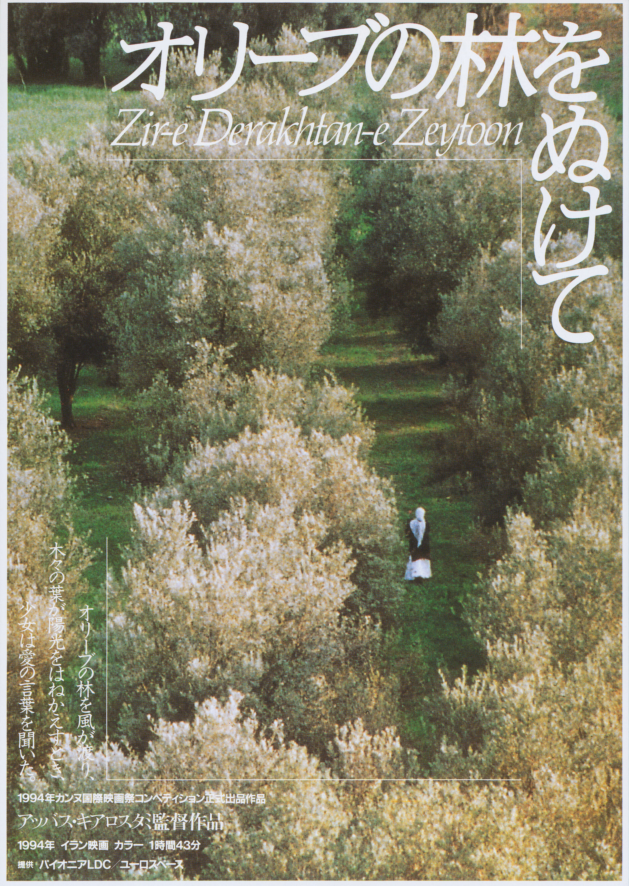 Сквозь оливы (Through the Olive Trees, 1994), режиссёр Аббас Киаростами, японский постер к фильму,  1994 год