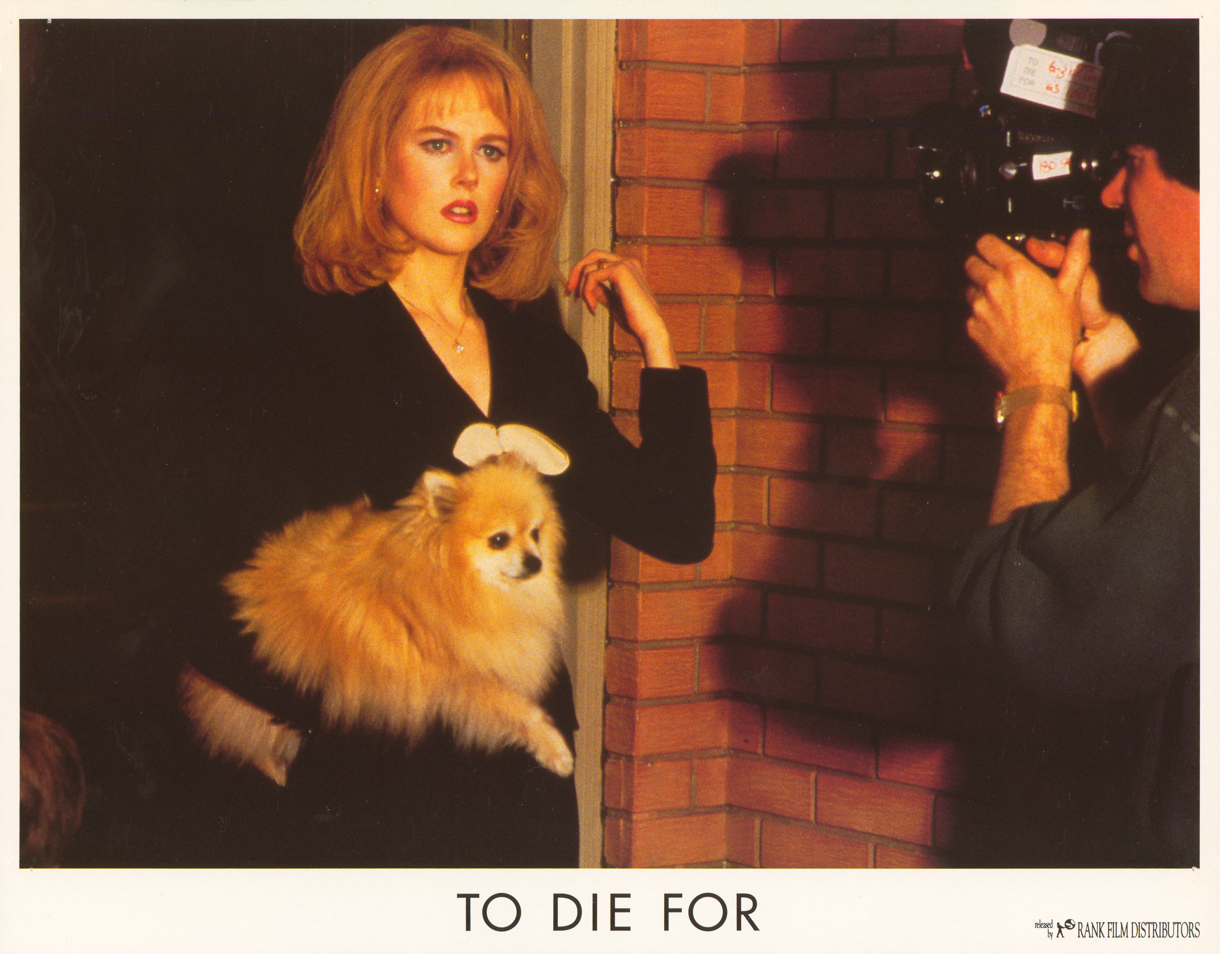 Умереть во имя (To Die For, 1995), режиссёр Гас Ван Сент, американский постер к фильму, 1995 год (5)