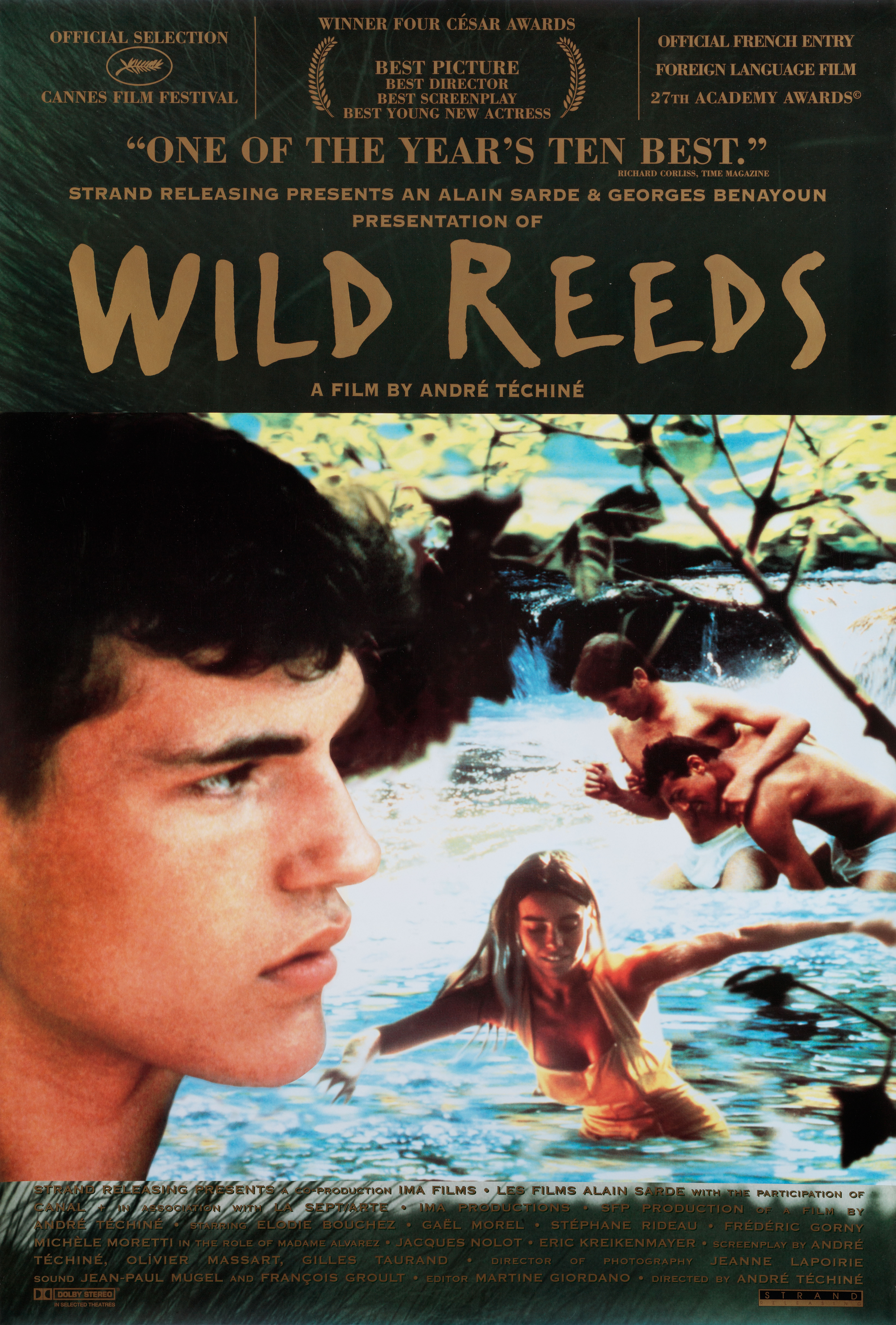 Дикий тростник (Wild Reeds, 1994), режиссёр Андре Тешине, американский постер к фильму, 1994 год