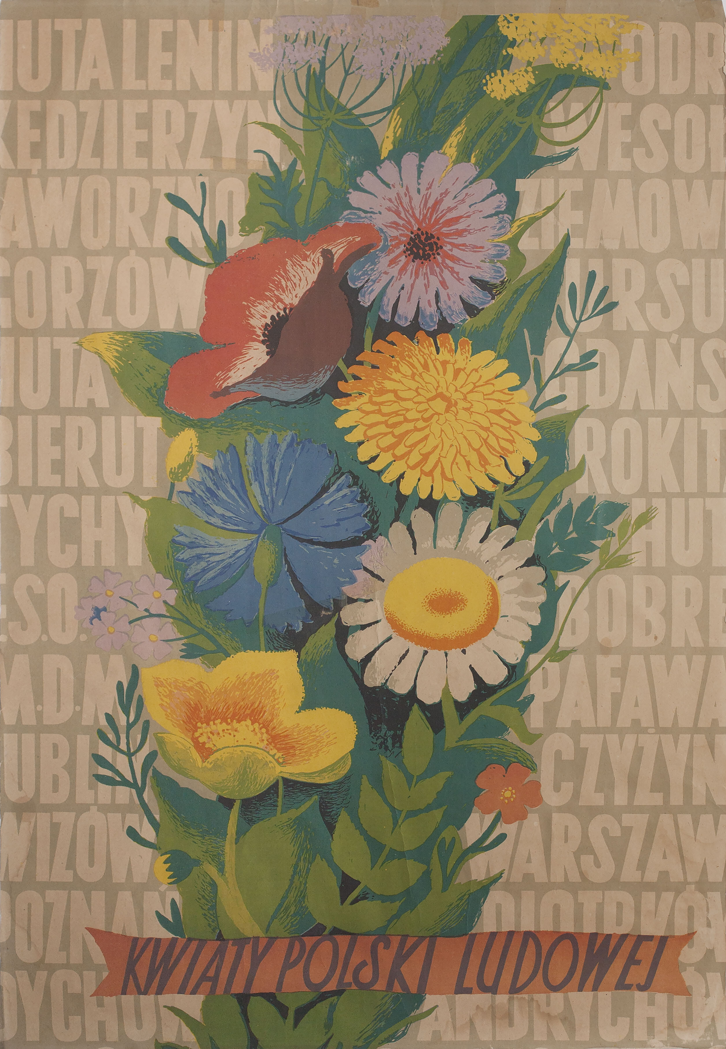 Польский плакат, 1954 год, автор Юзеф Мрощак