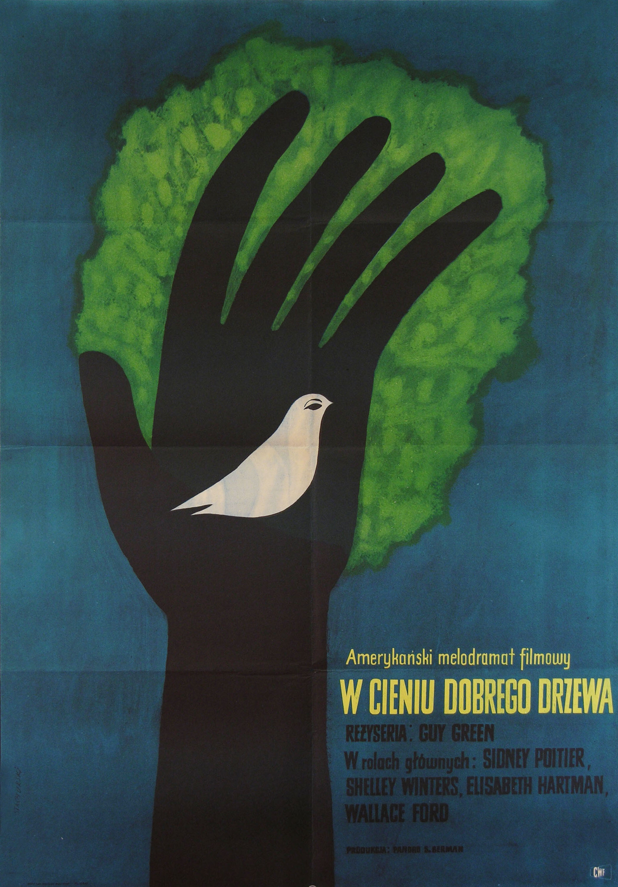 Клочок синевы (A Patch of Blue, 1965), режиссёр Гай Грин, польский плакат к фильму, 1968 год, автор Мариан Стачурски