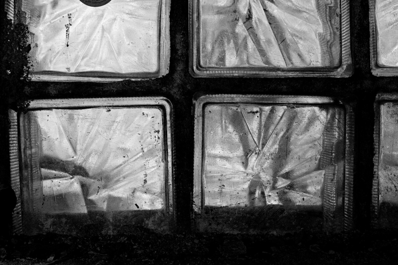 Vasilisa — фотоистория — 18 июля 2024 года — Vasilisa  Фото  Камералабс