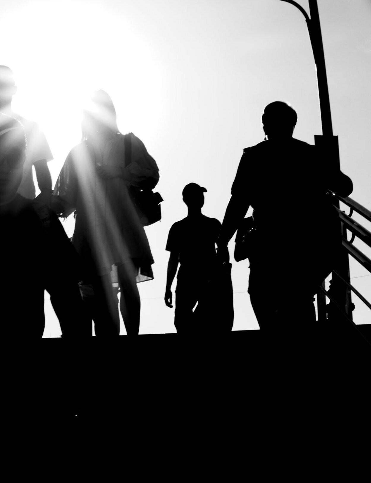 Vasilisa — фотоистория — 18 июля 2024 года — Vasilisa  Фото  Камералабс