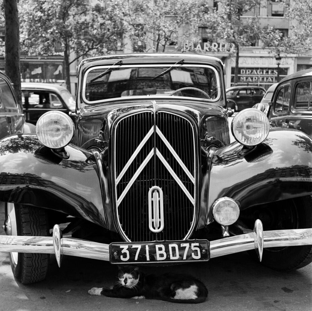 Париж (1950–1954), фотограф Эд ван дер Элскен (2)
