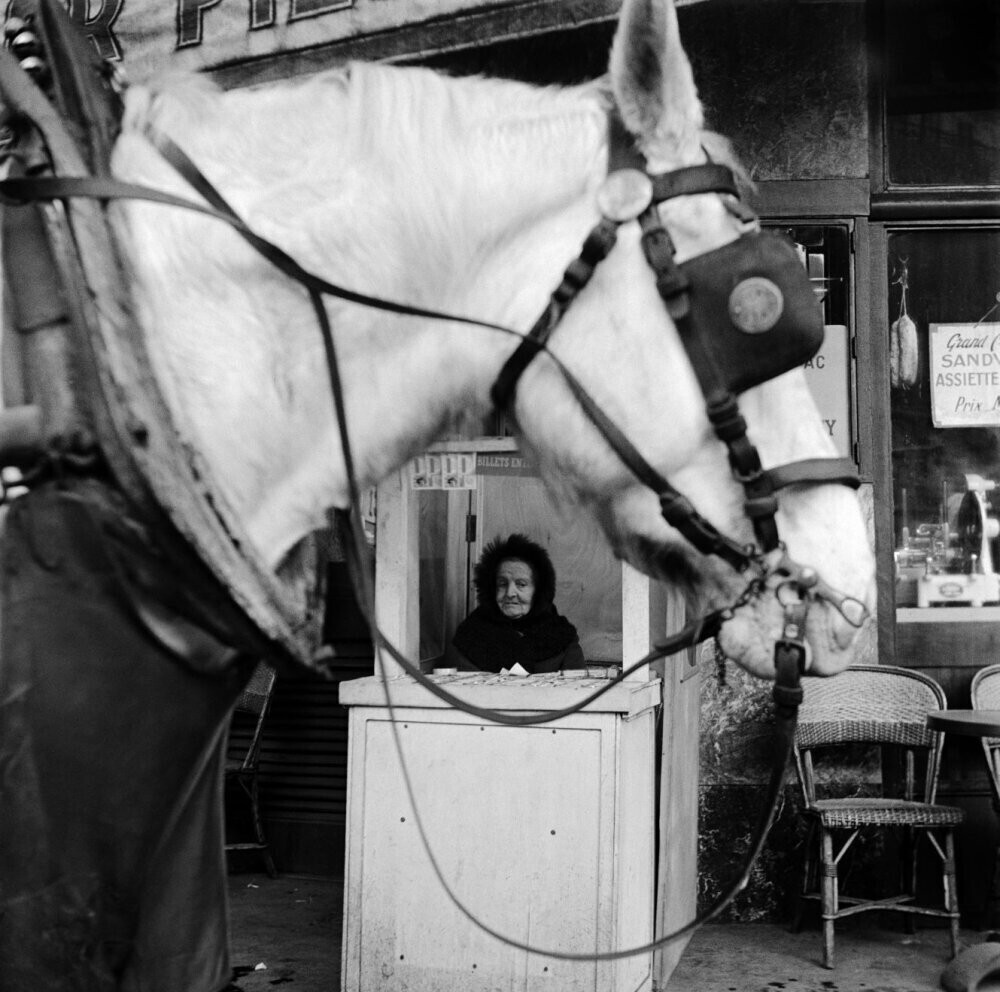 Продавец лотерейных билетов Национальной лотереи, Париж (1950–1954), фотограф Эд ван дер Элскен