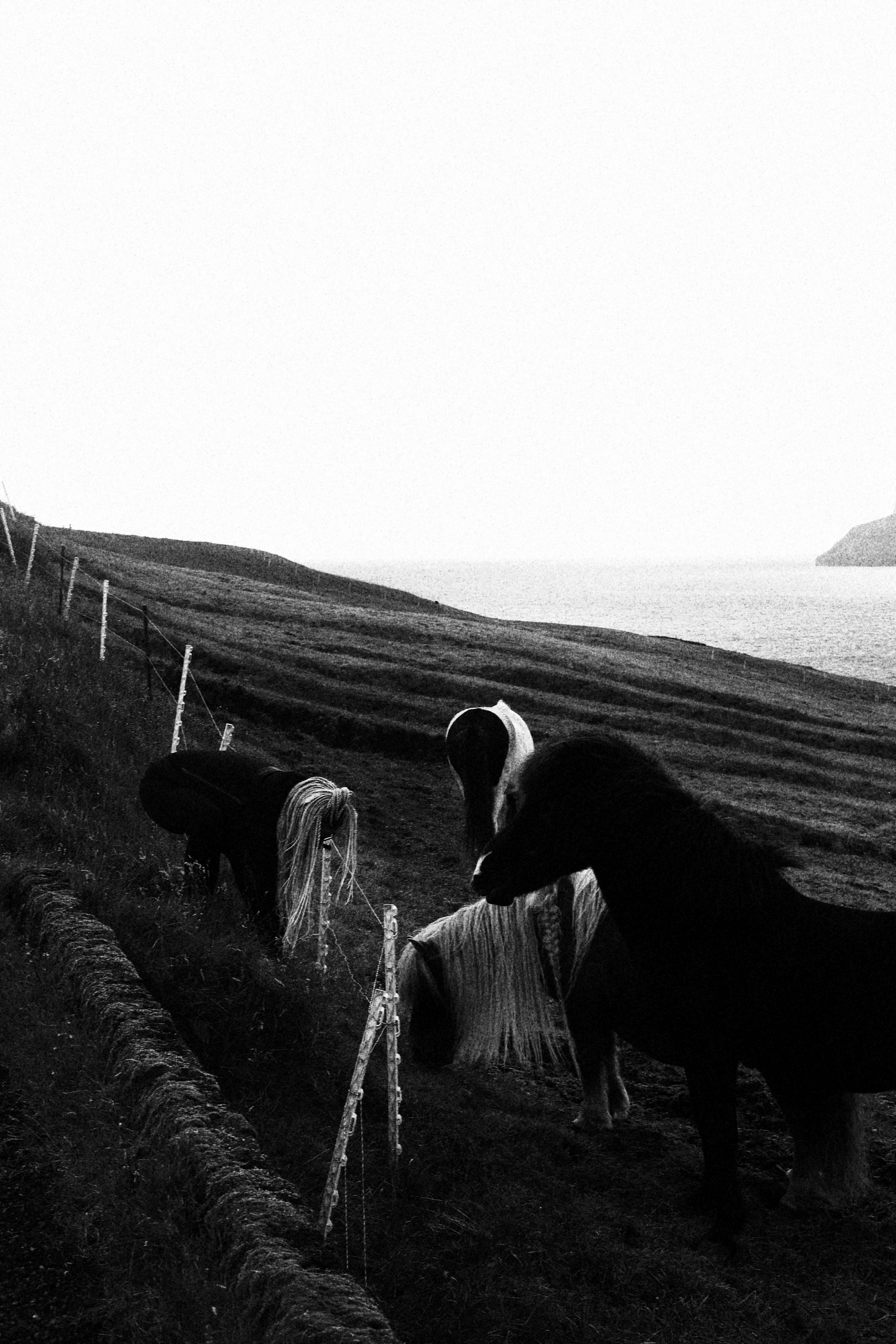 2024/august/Faroe Islands