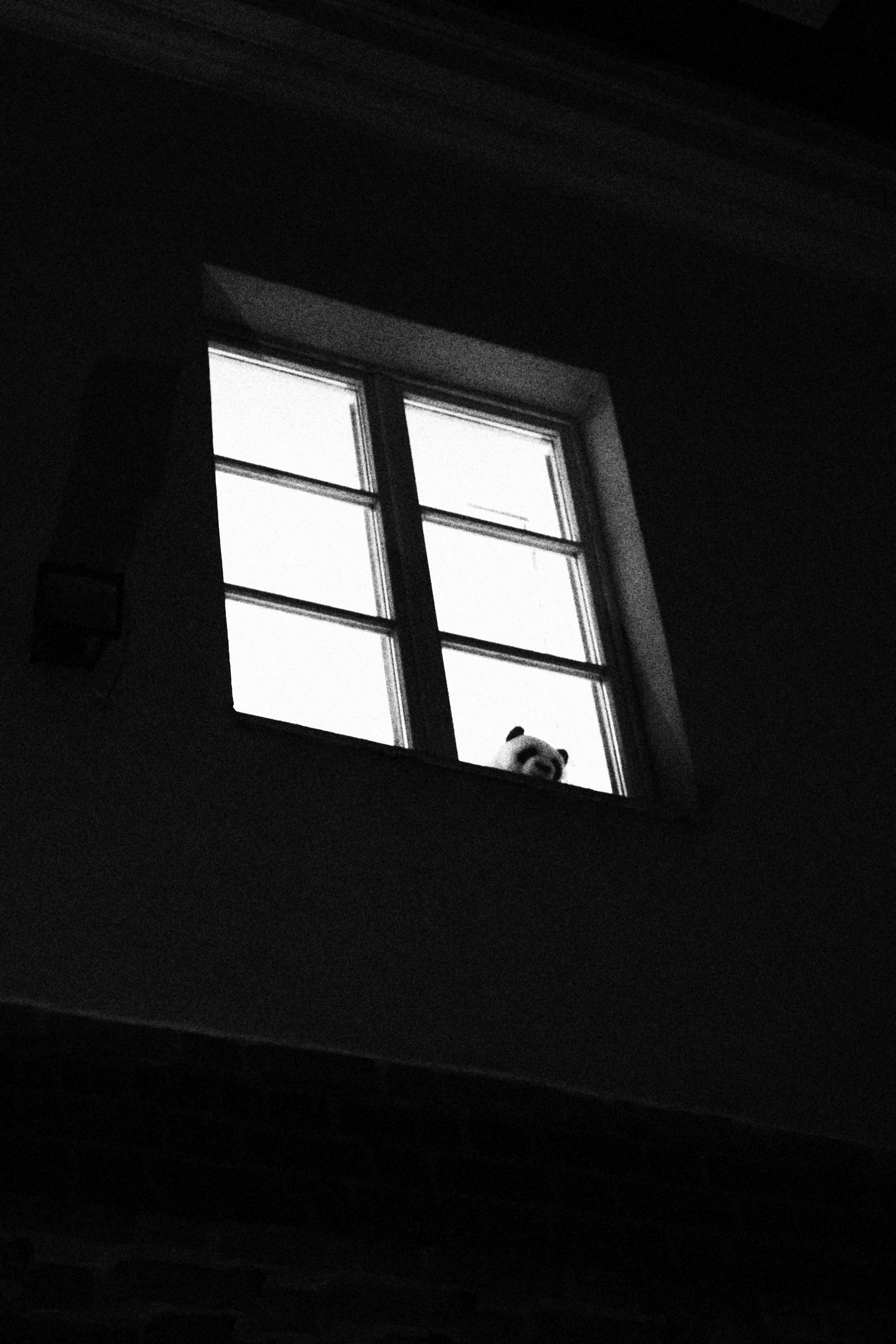 12/2024 Warsaw,  he looks bored