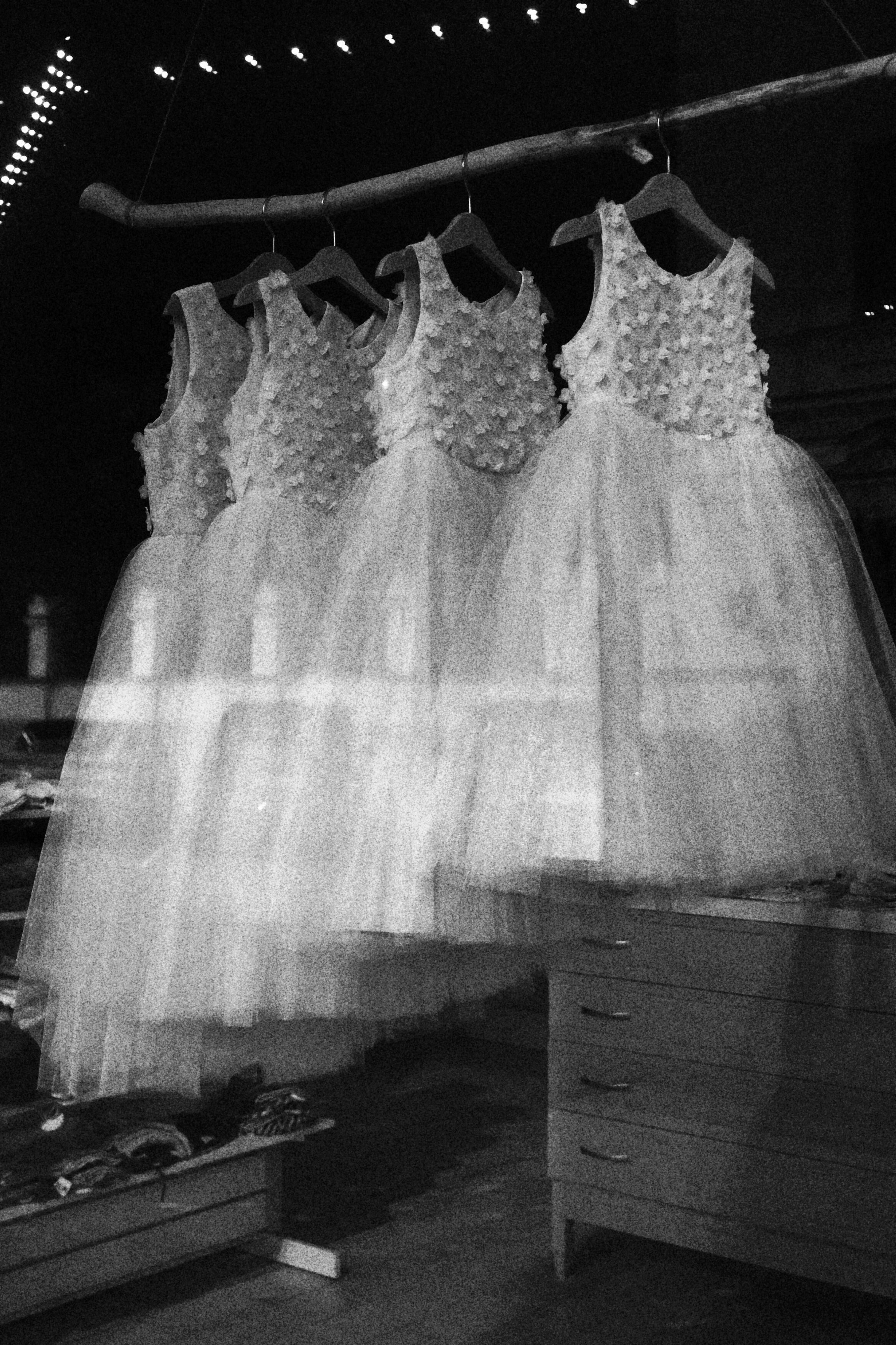 Riga / 2024 four sisters