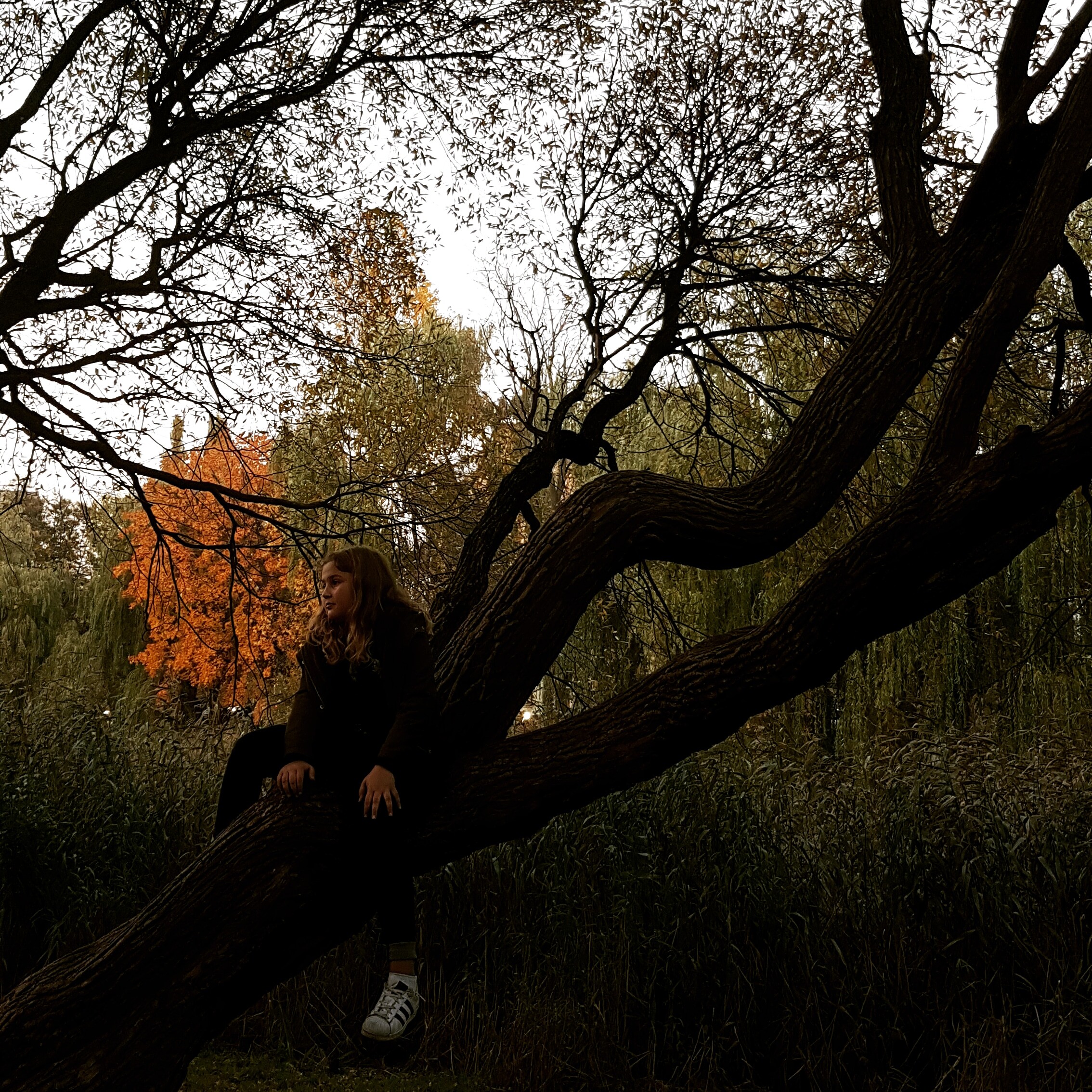October dreamer 2019