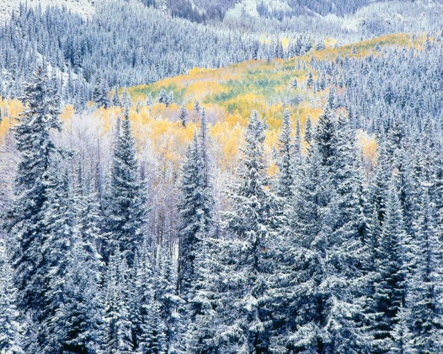 Ранний снегопад, Колорадо. Автор Кристофер Бёркетт