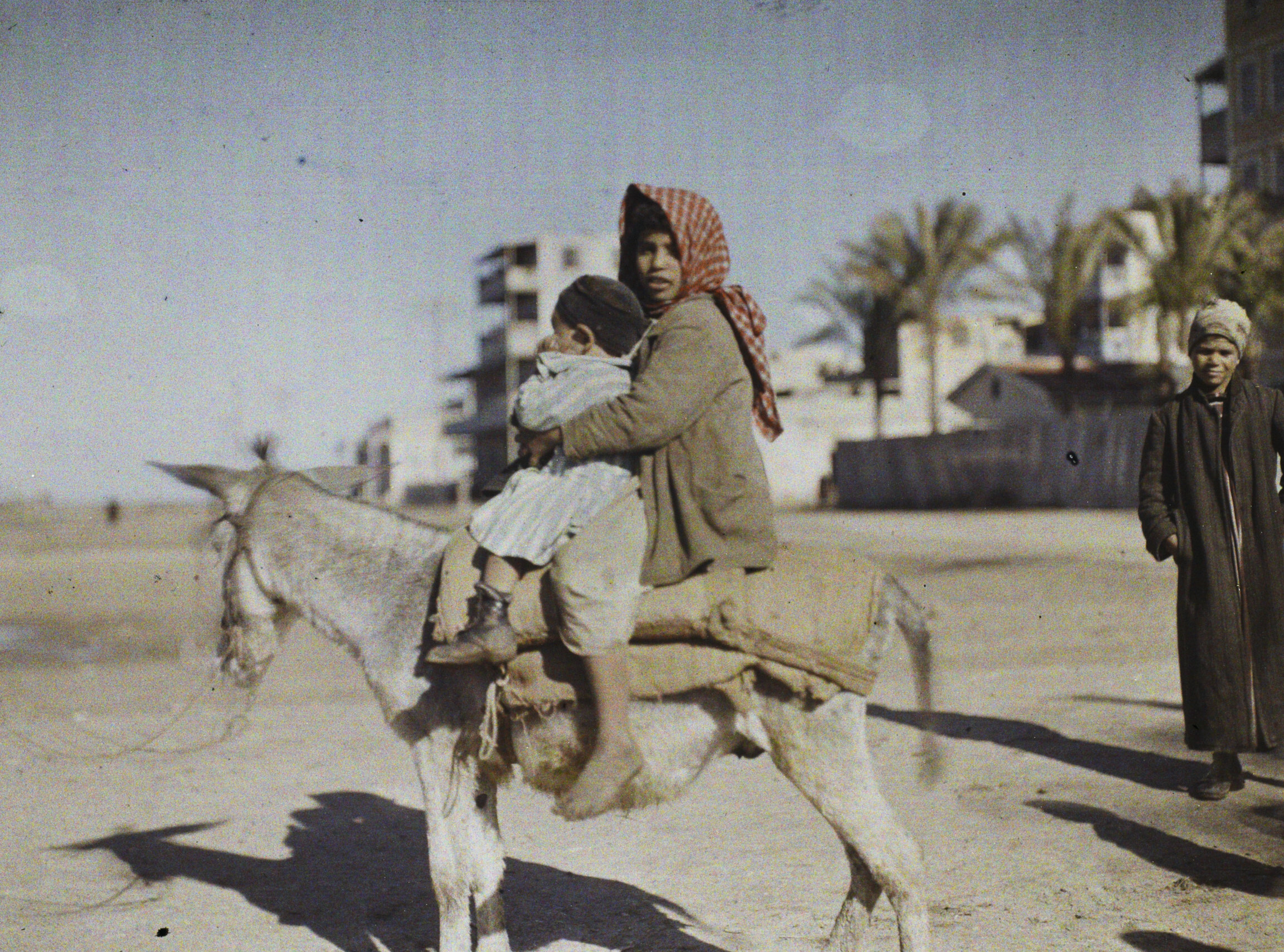 Порт-Саид, Египет. Двое детей на осле позируют оператору, 1918 год, автор Пол Кастельно (автохром)