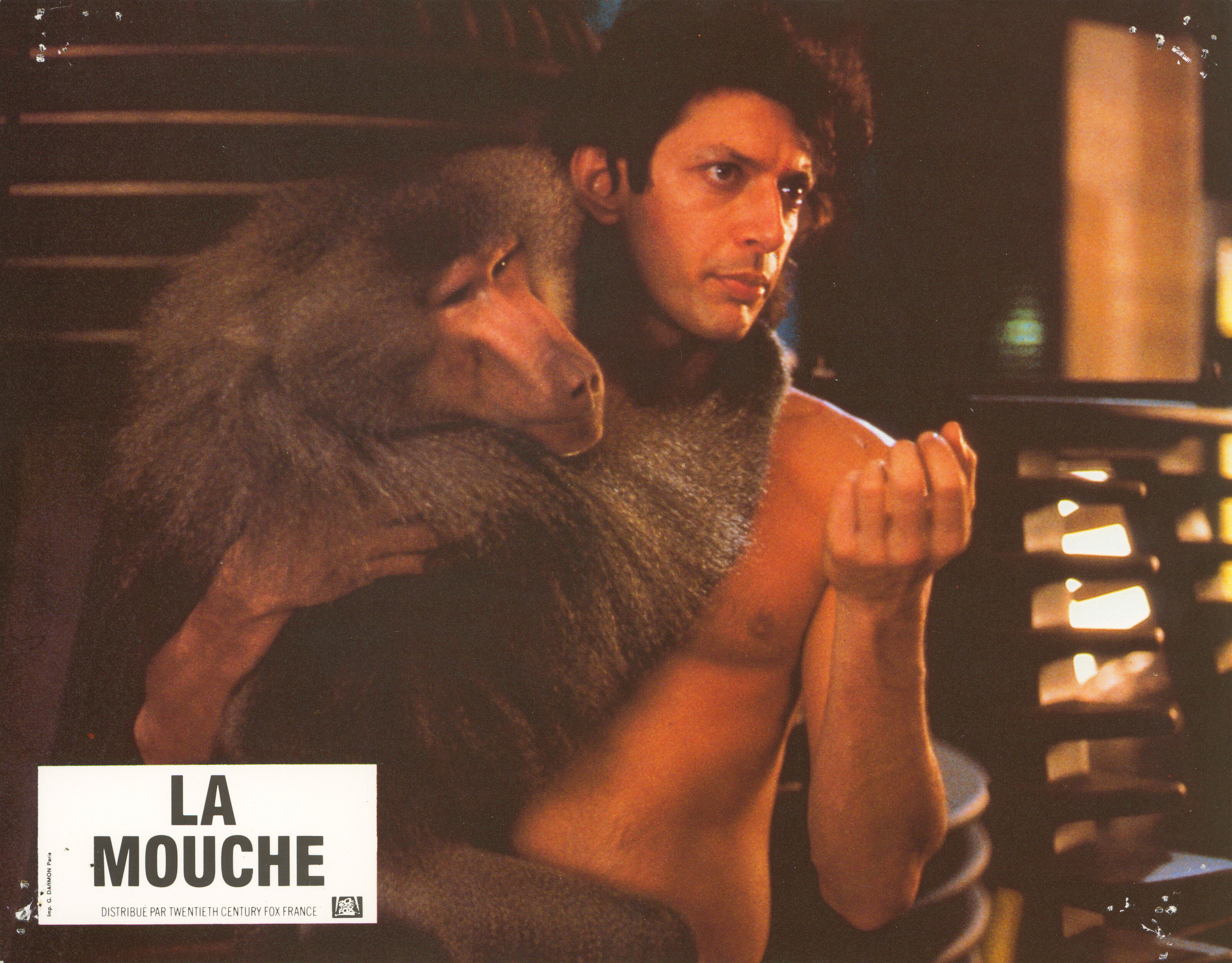 Муха (The Fly, 1986), режиссёр Дэвид Кроненберг, французский постер к фильму, 1987 год (5)