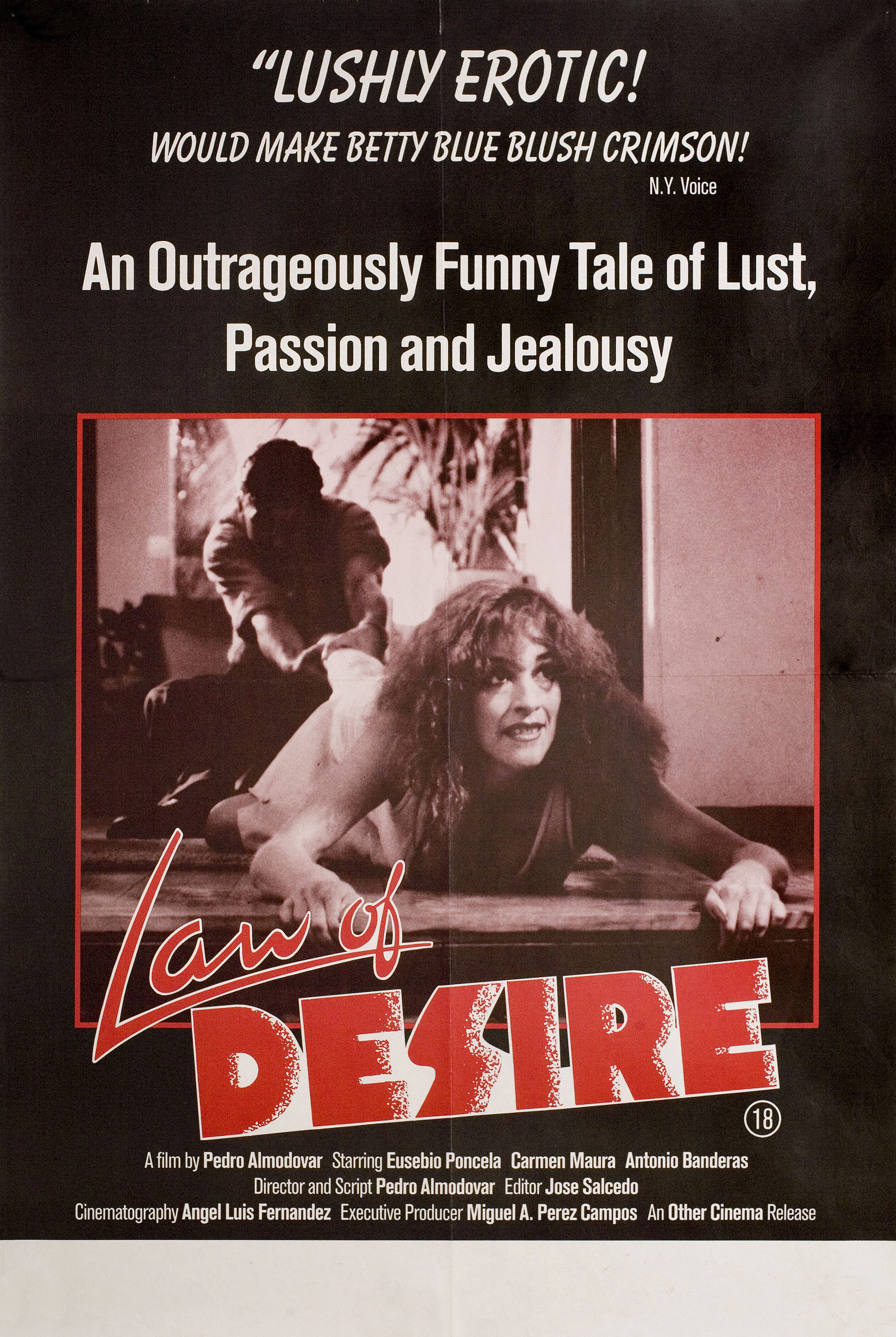 Закон желания (Law of Desire, 1987), режиссёр Педро Альмодовар, британский постер к фильму, 1987 год