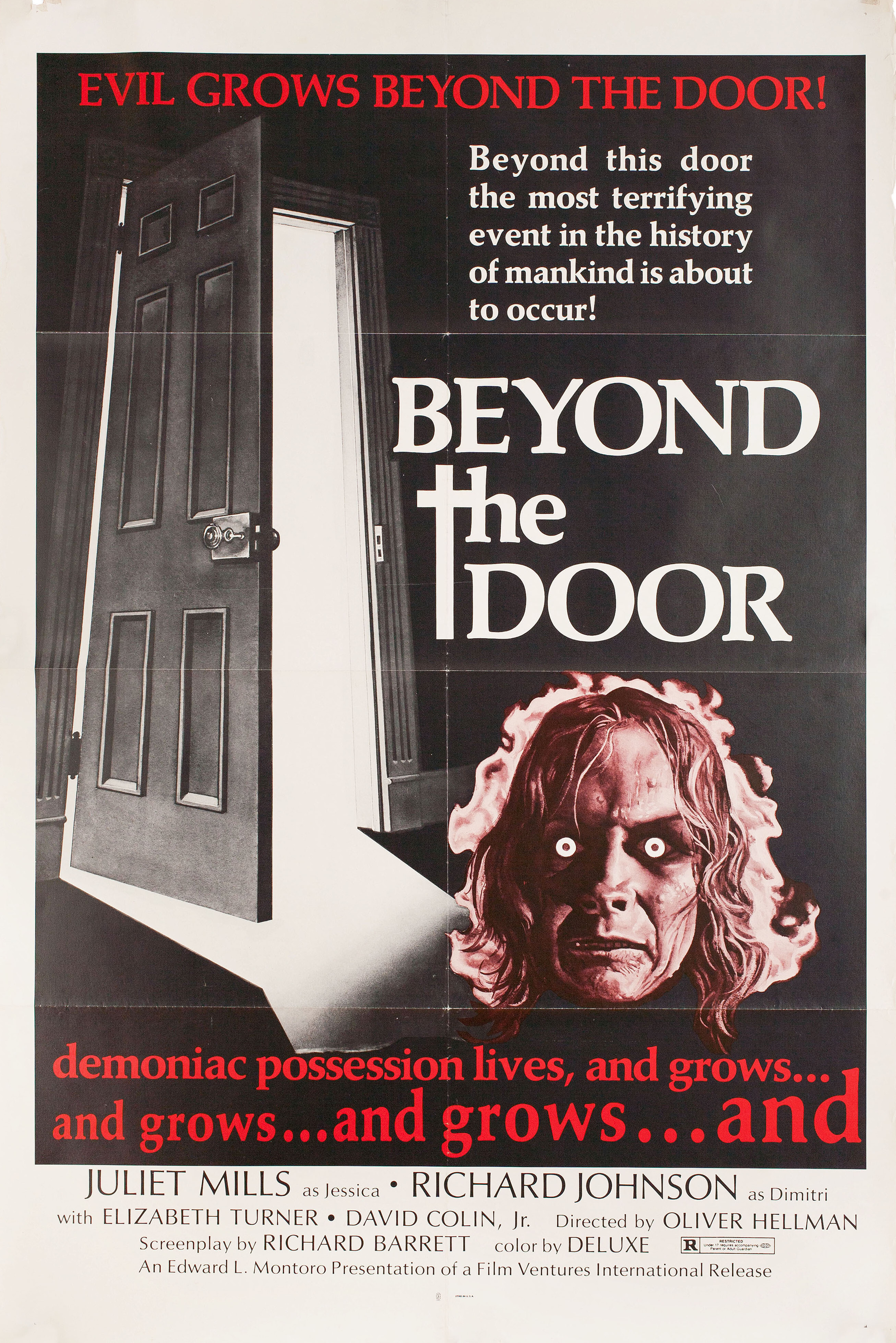 По ту сторону двери (Beyond the Door, 1982), режиссёр Лилиана Кавани, американский постер к фильму, 1982 год