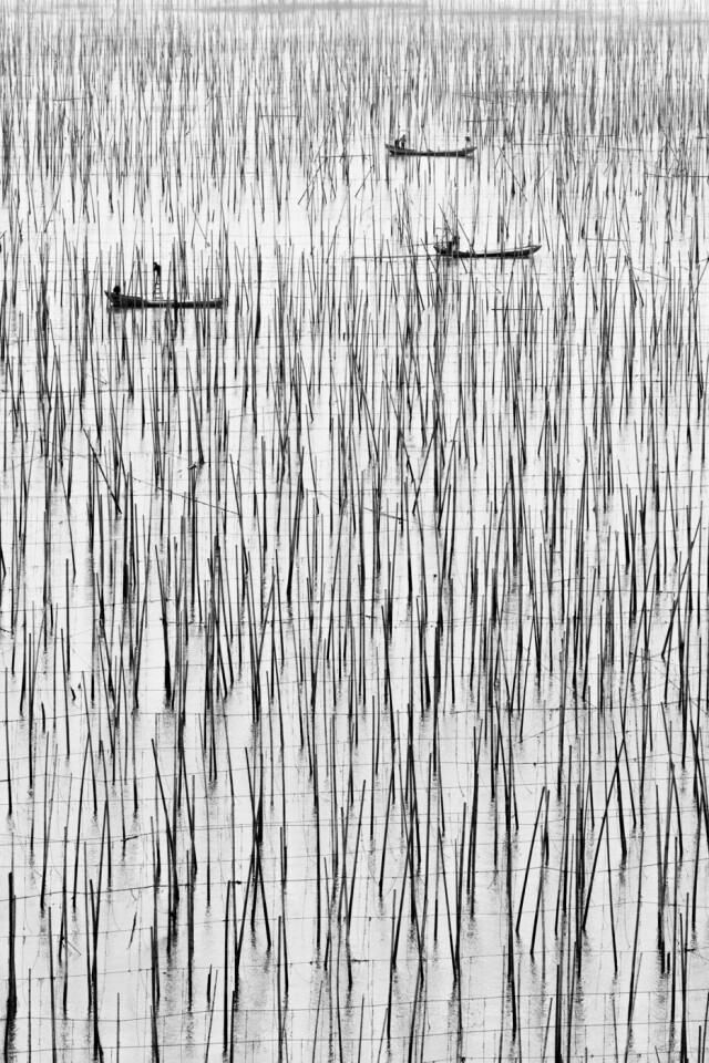 2 место в категории «Аэрофотография» среди любителей, 2021. Выращивание морских водорослей в провинции Фуцзянь, Китай. Автор Джо Ван Россем