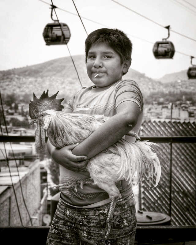 3 место в категории Дети мира среди профессионалов, 2021. Портрет мальчика с петухом. Автор Франсиско Мата Росас
