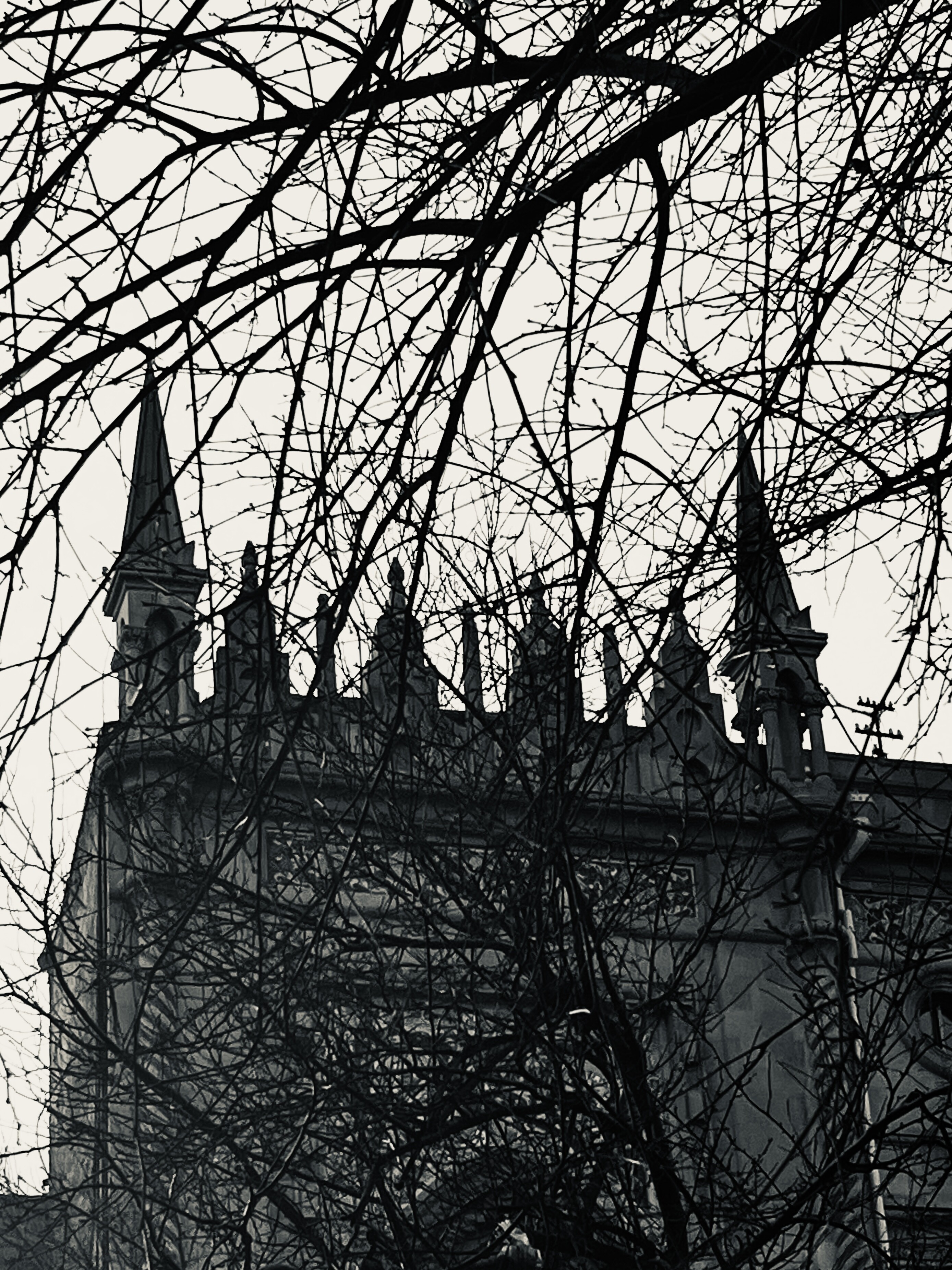El-Meram — фотоистория — 04 февраля 2025 года