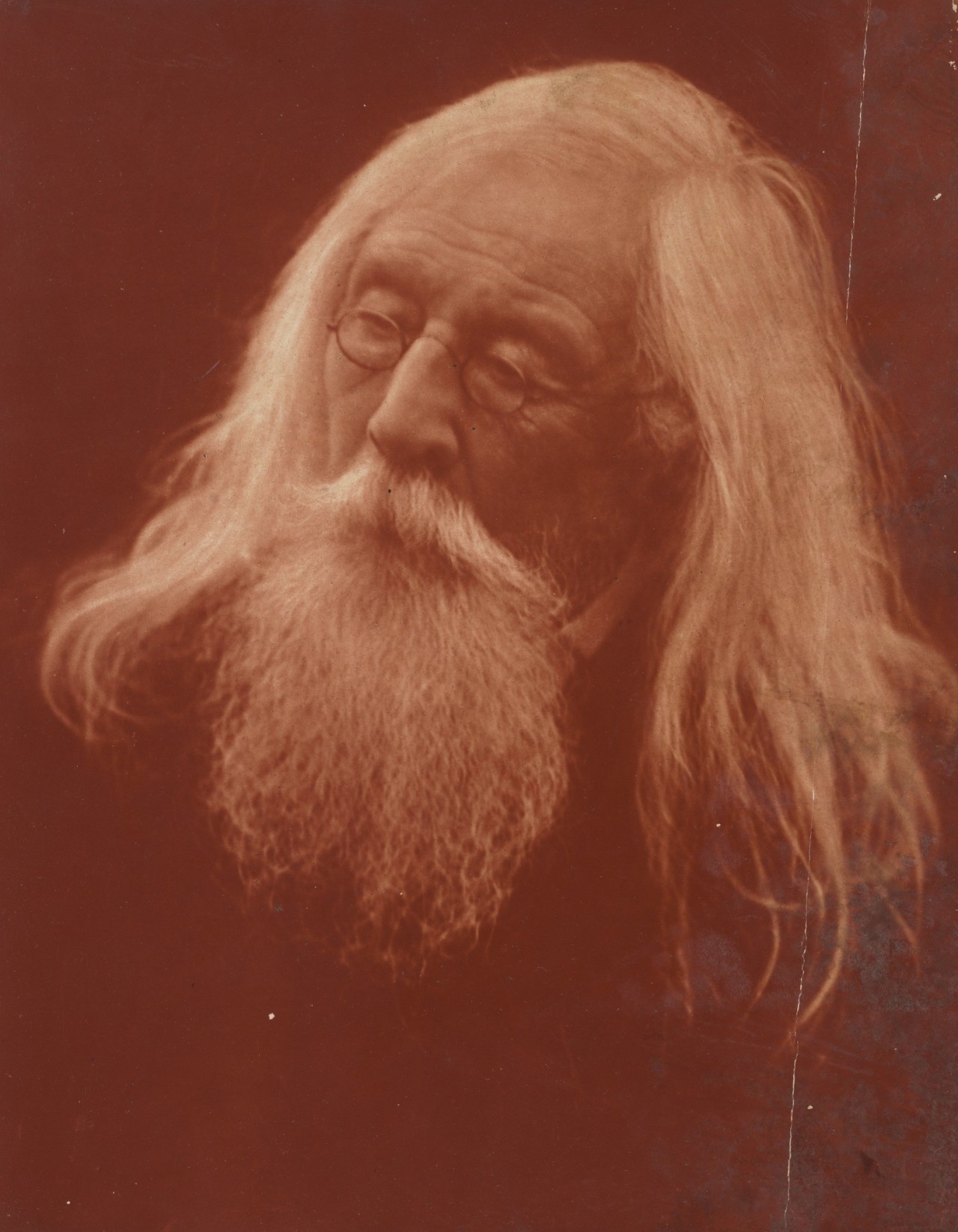 Портрет Чарльза Хэя Камерона, 1871. Автор Джулия Маргарет Камерон ...