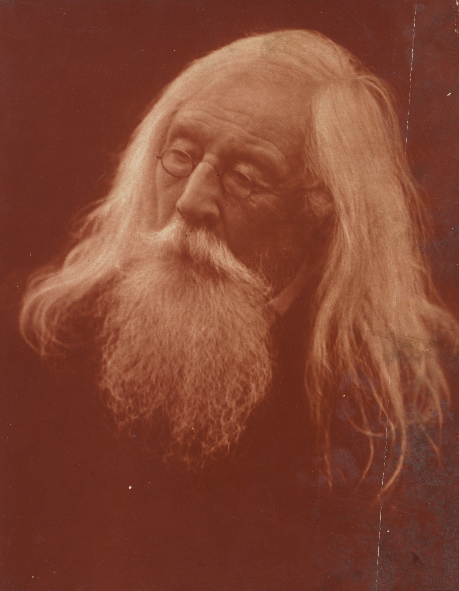 Портрет Чарльза Хэя Камерона, 1871. Автор Джулия Маргарет Камерон