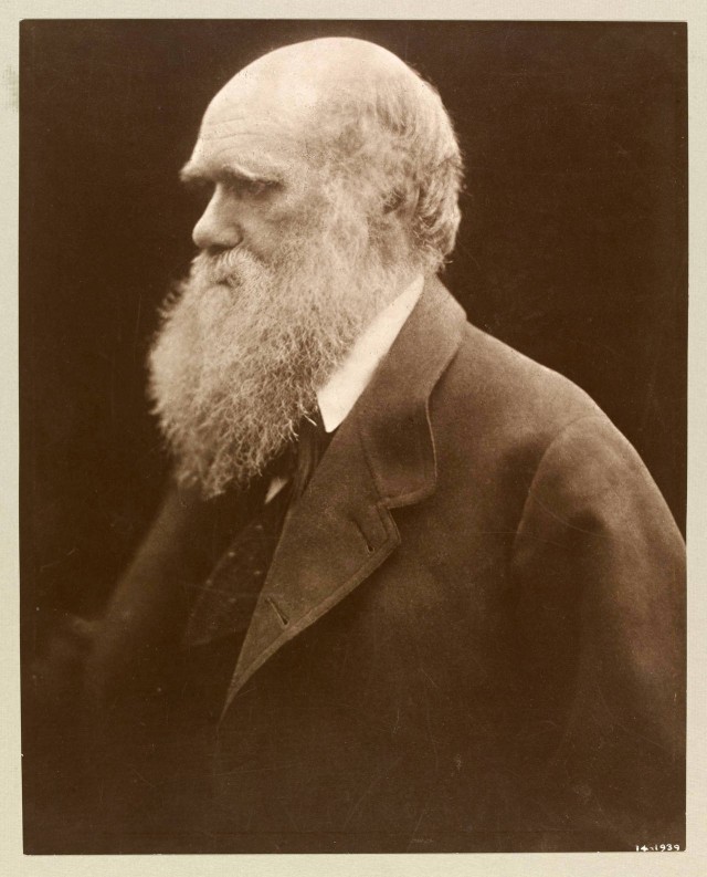 Чарлз Дарвин, 1868. Автор Джулия Маргарет Камерон