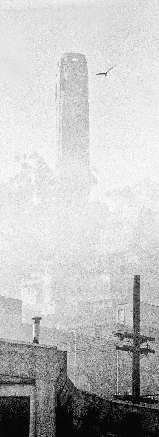 Башня Койт в тумане, Сан-Франциско, 1940–1950-е годы, фотограф Фред Лайон