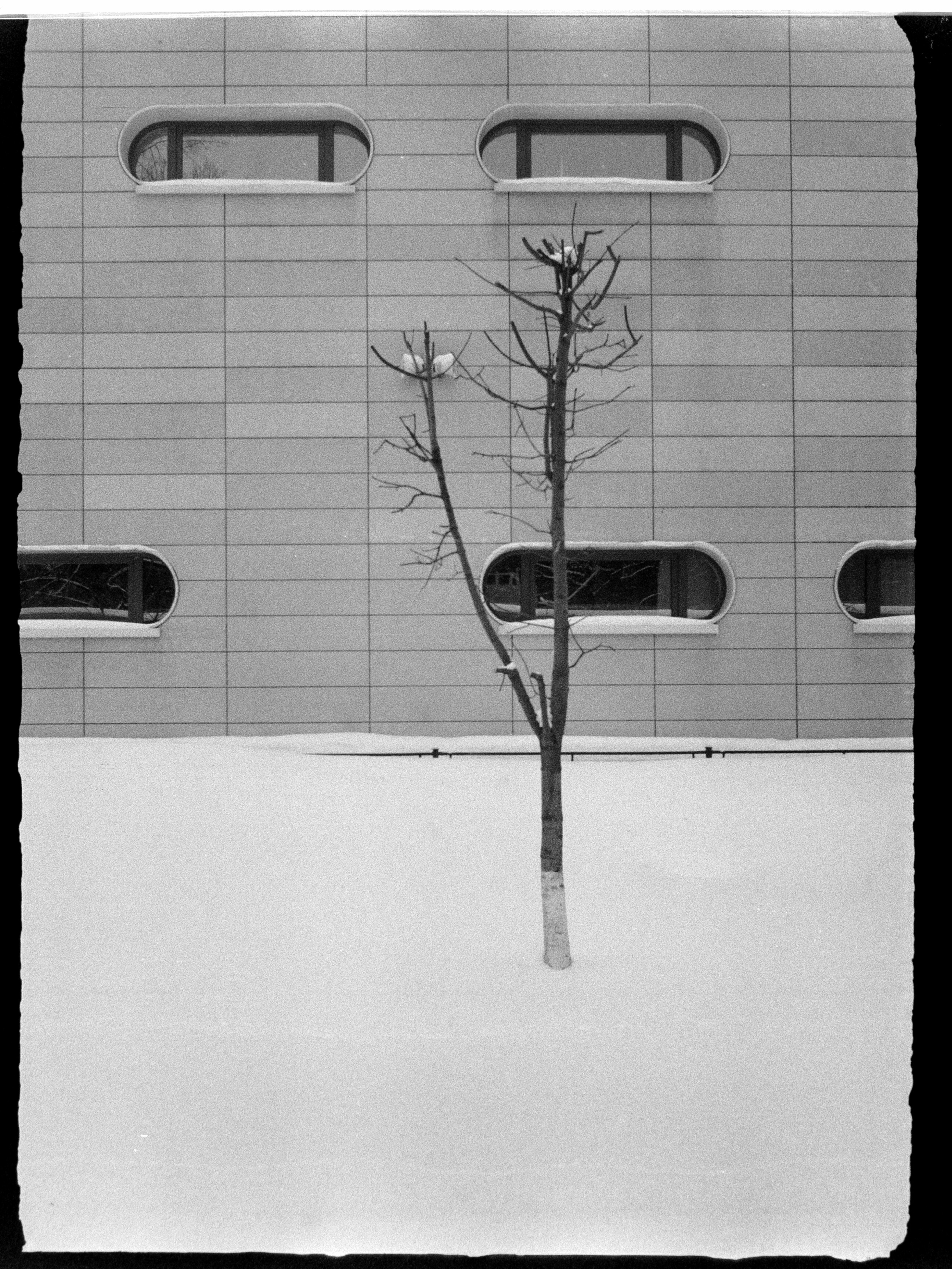 2022-02-01 - Чайка 3 - Fomapan 400