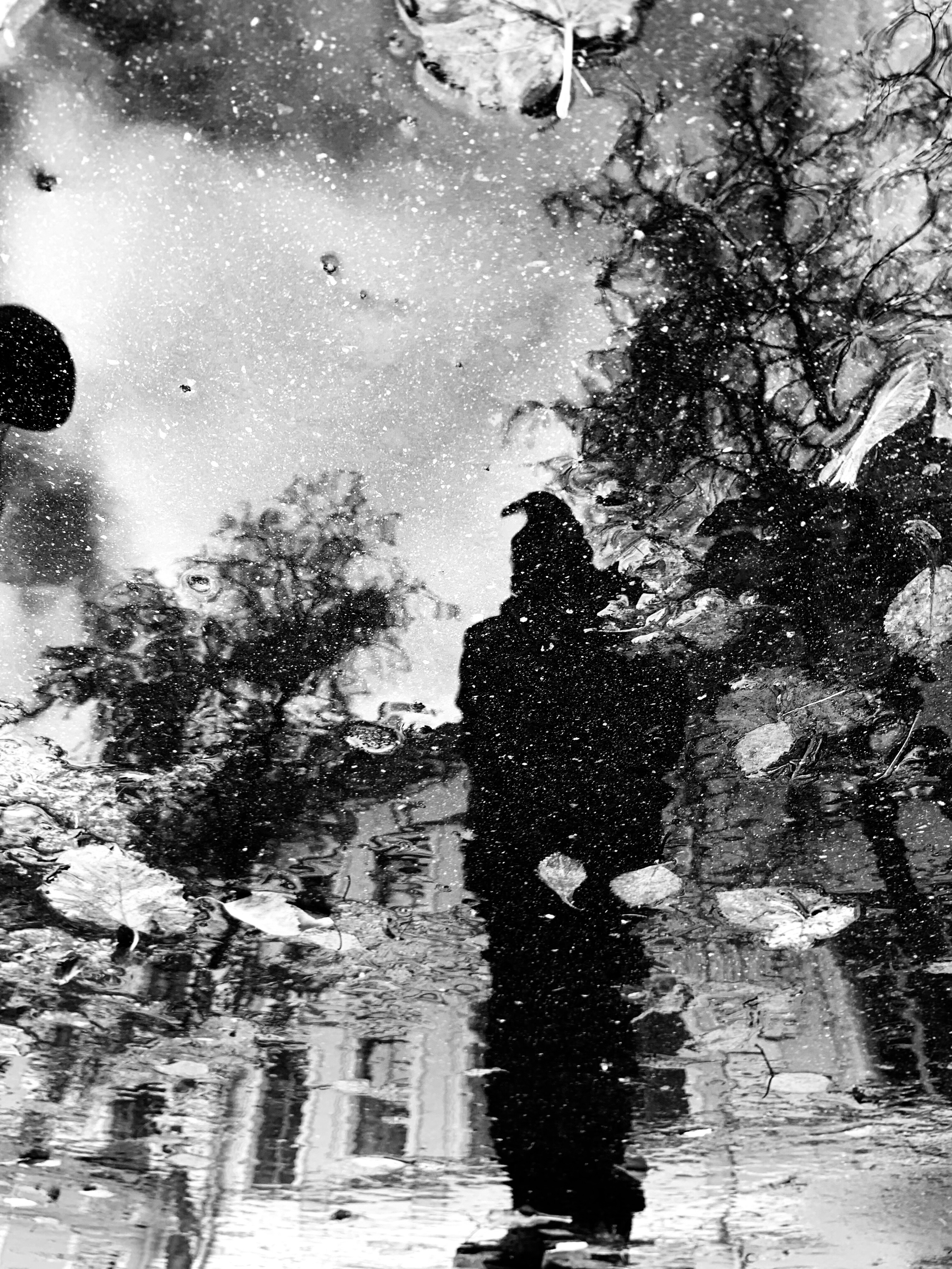 Александр — фотоистория — 05 ноября 2024 года