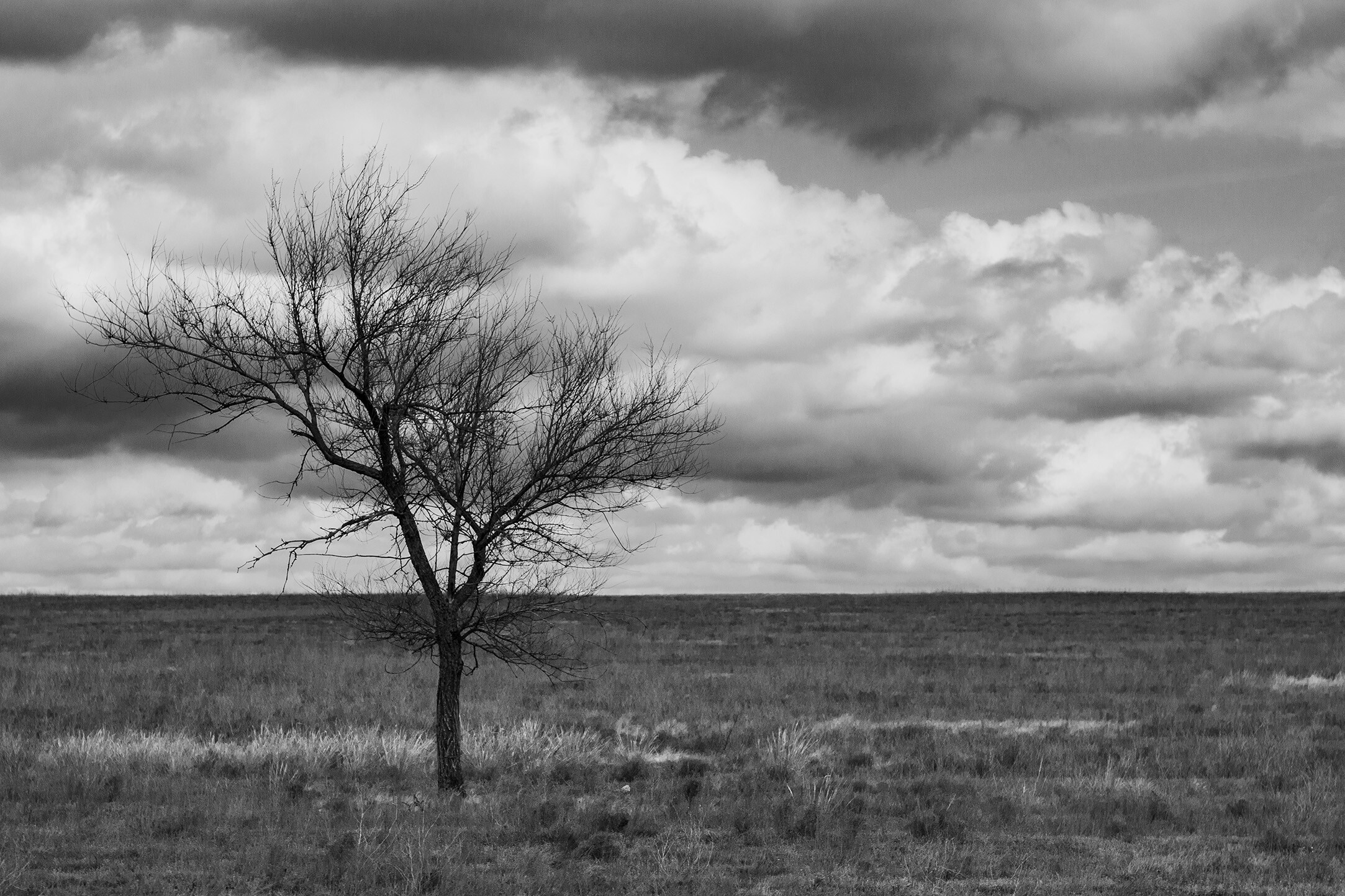Фотограф Олег Бугаев