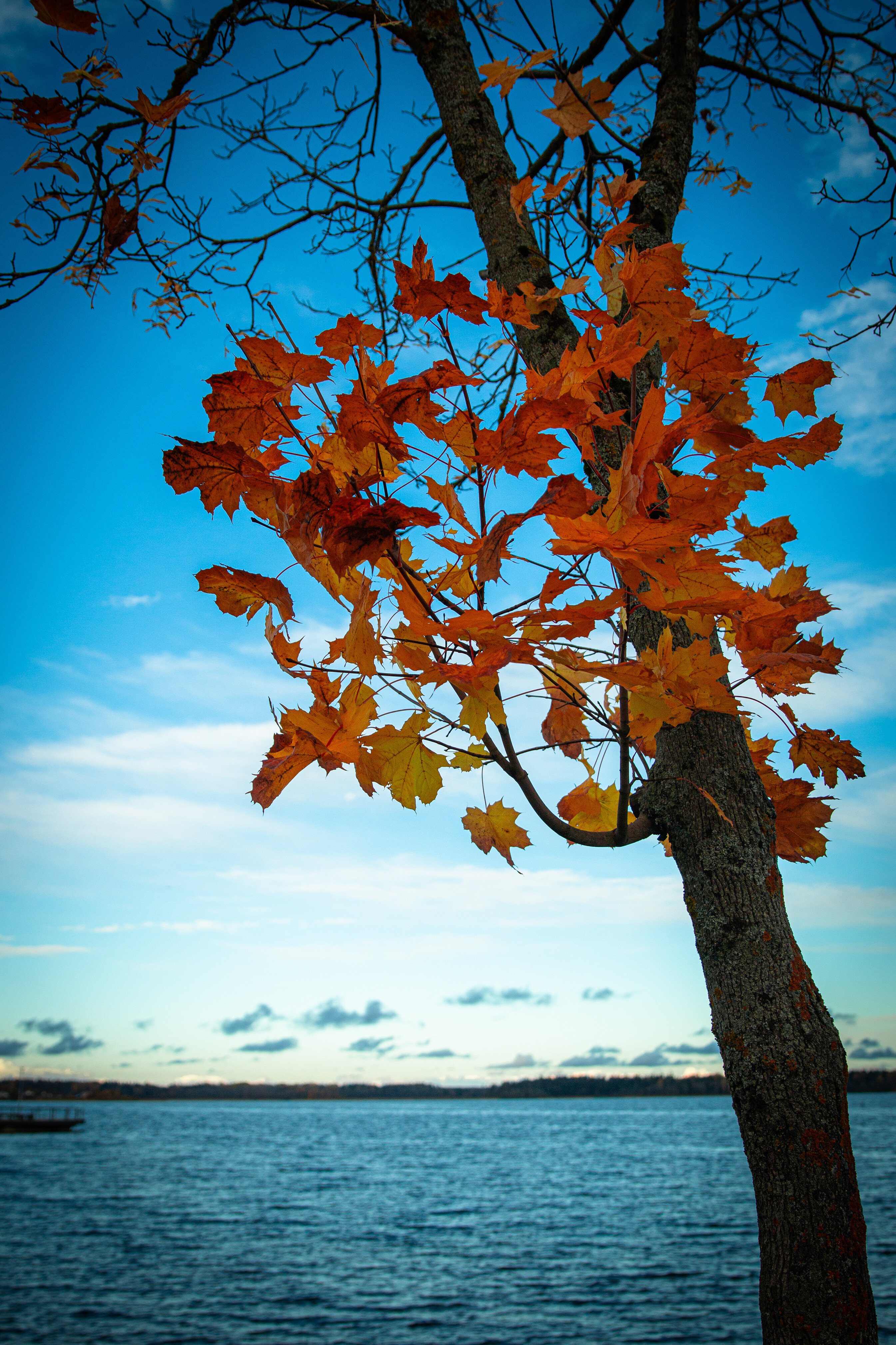 Олег Бугаев — фотоистория — 29 октября 2025 года