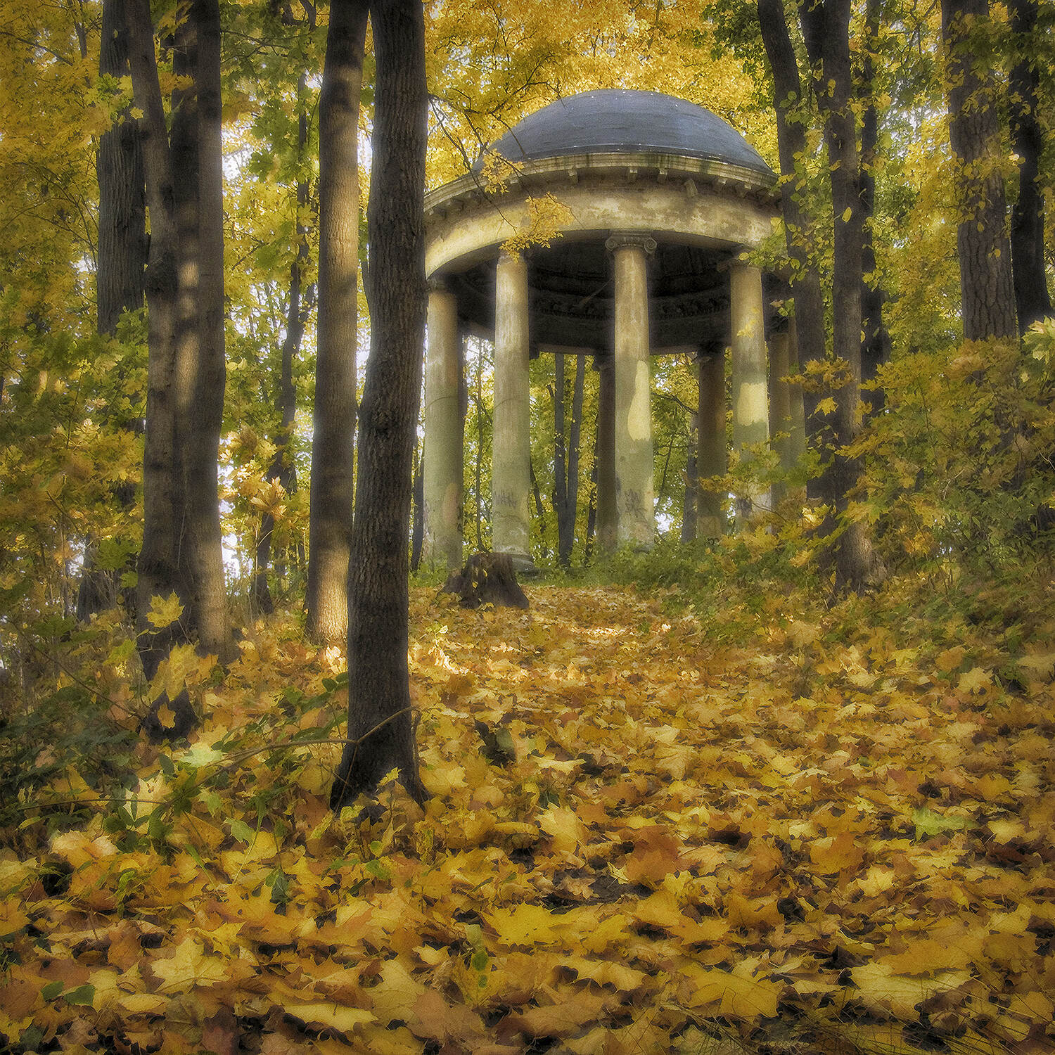 Осень в парке (Серия "Осень")