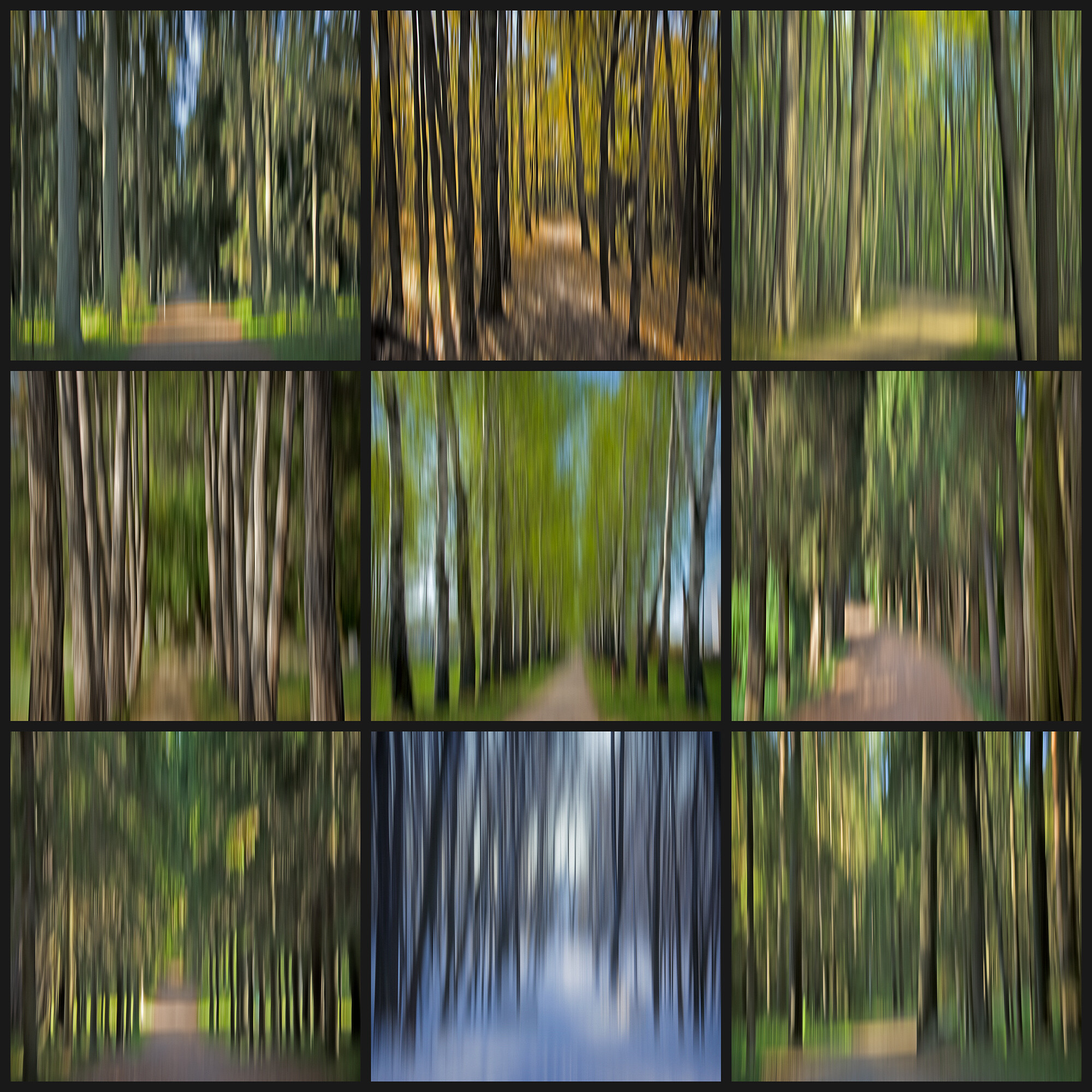 Аллеи  (Серия "Нечёрные квадраты)"