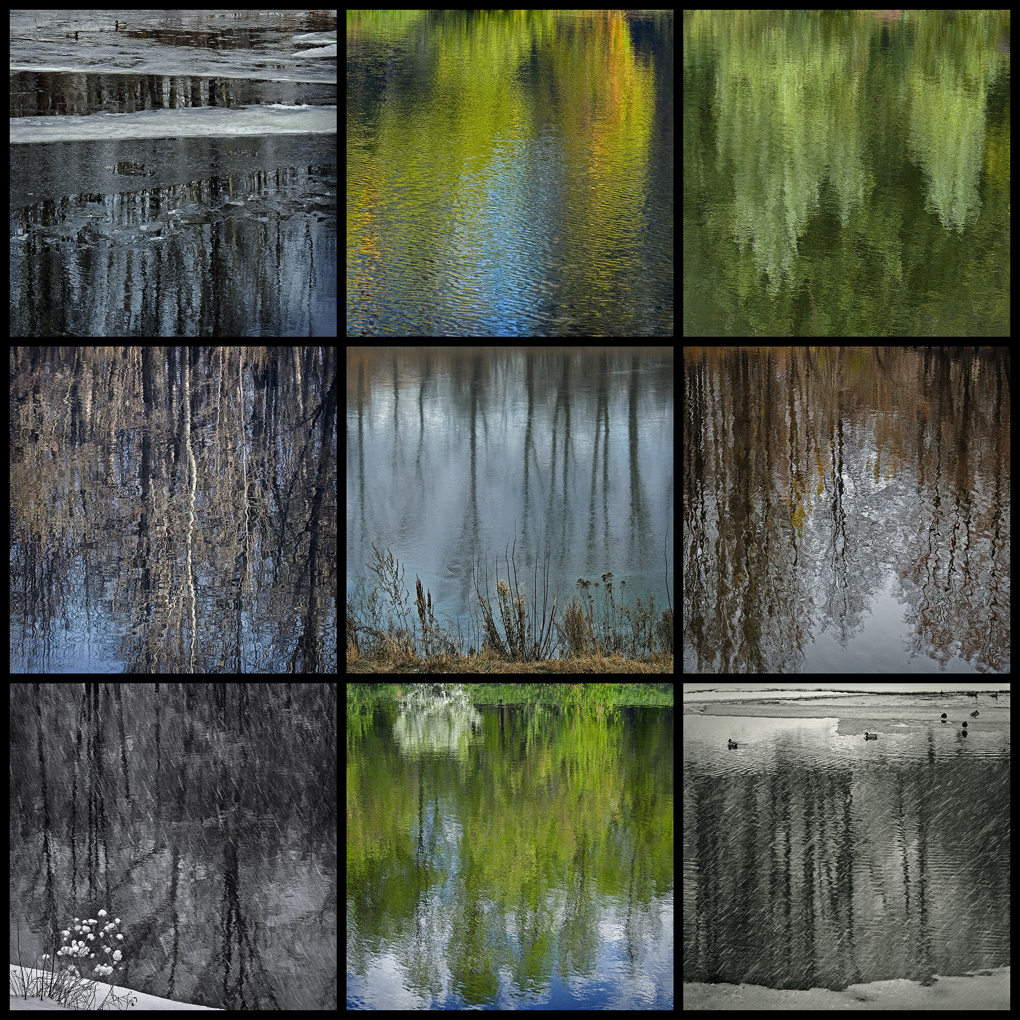 Отражения. Времена года.  (Серия "Нечёрные квалдраты")