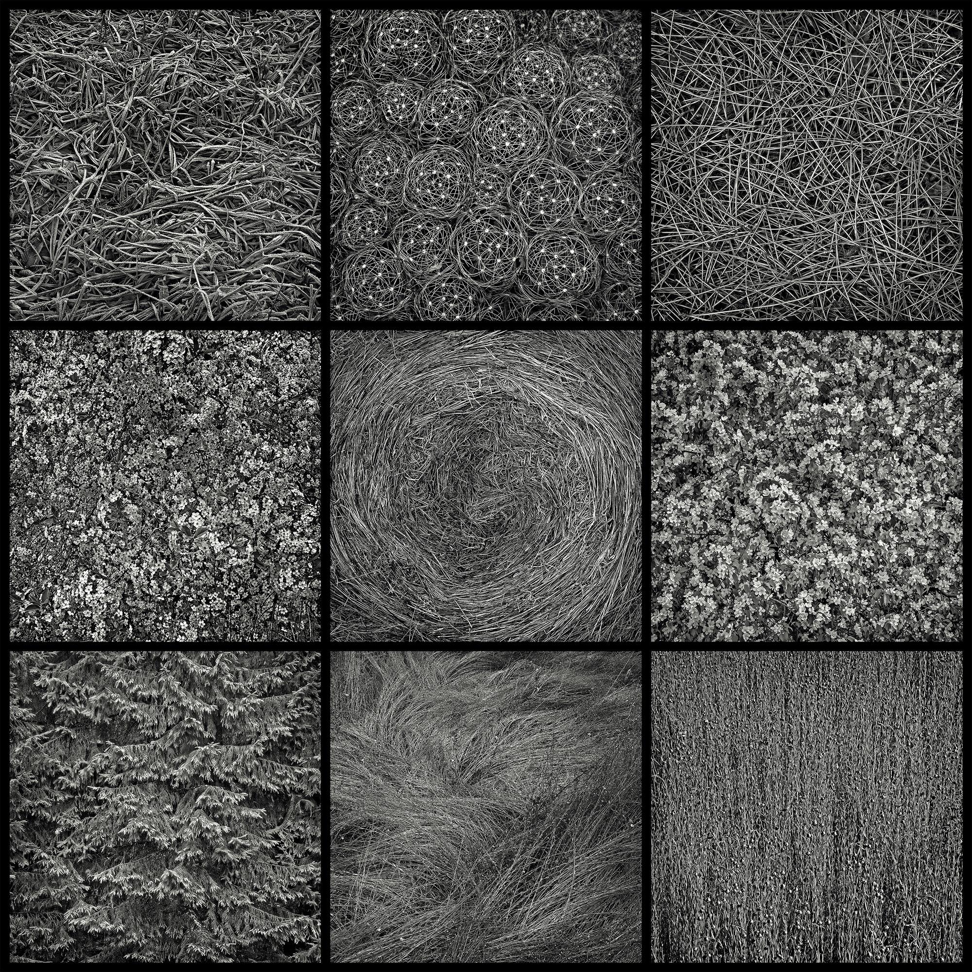 Текстуры   
(Серия "Нечёрные квадраты")