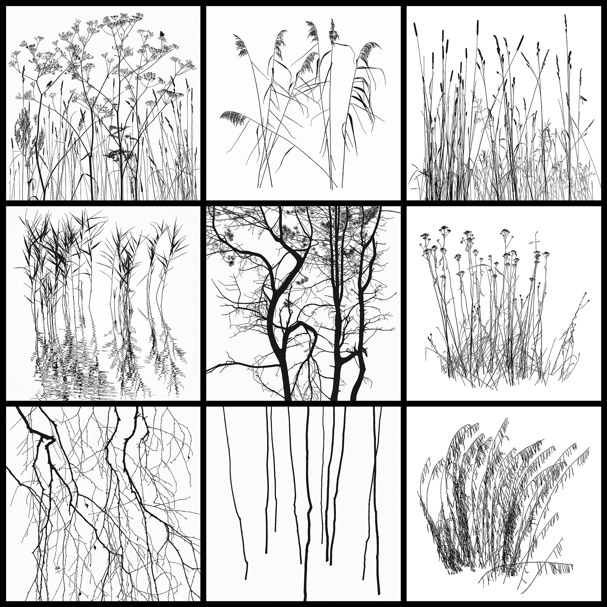Рисунки тушью  
Серия "Нечёрные квадраты"