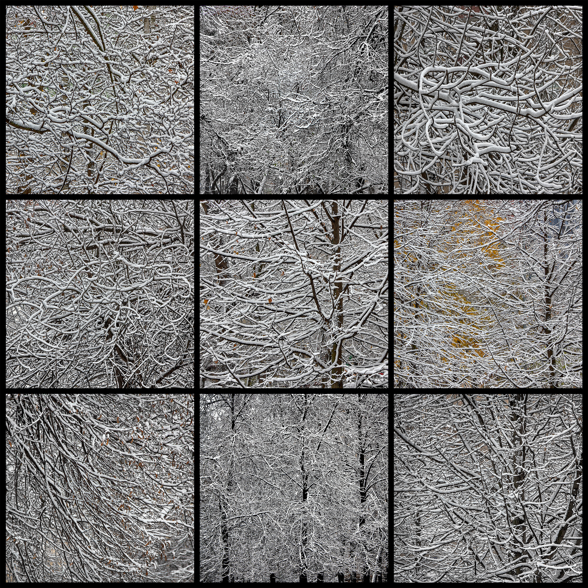 Первый снег  
(Серия "Нечёрные квадраты")