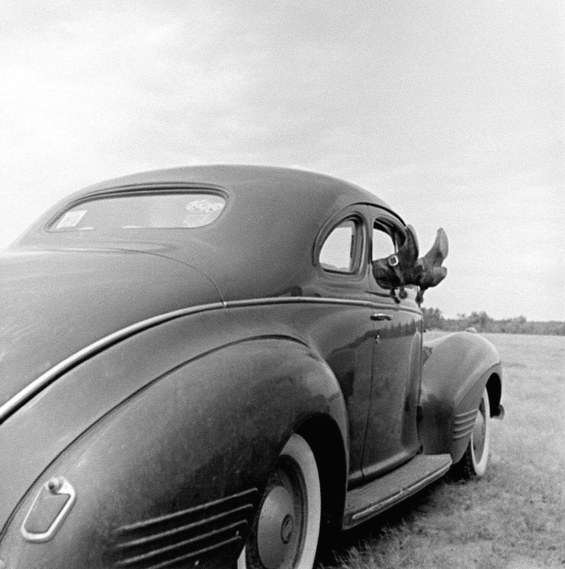 Ранчо Матадор, Техас, США, 1940 год, фотограф Гензель Мит (Hansel Mieth)