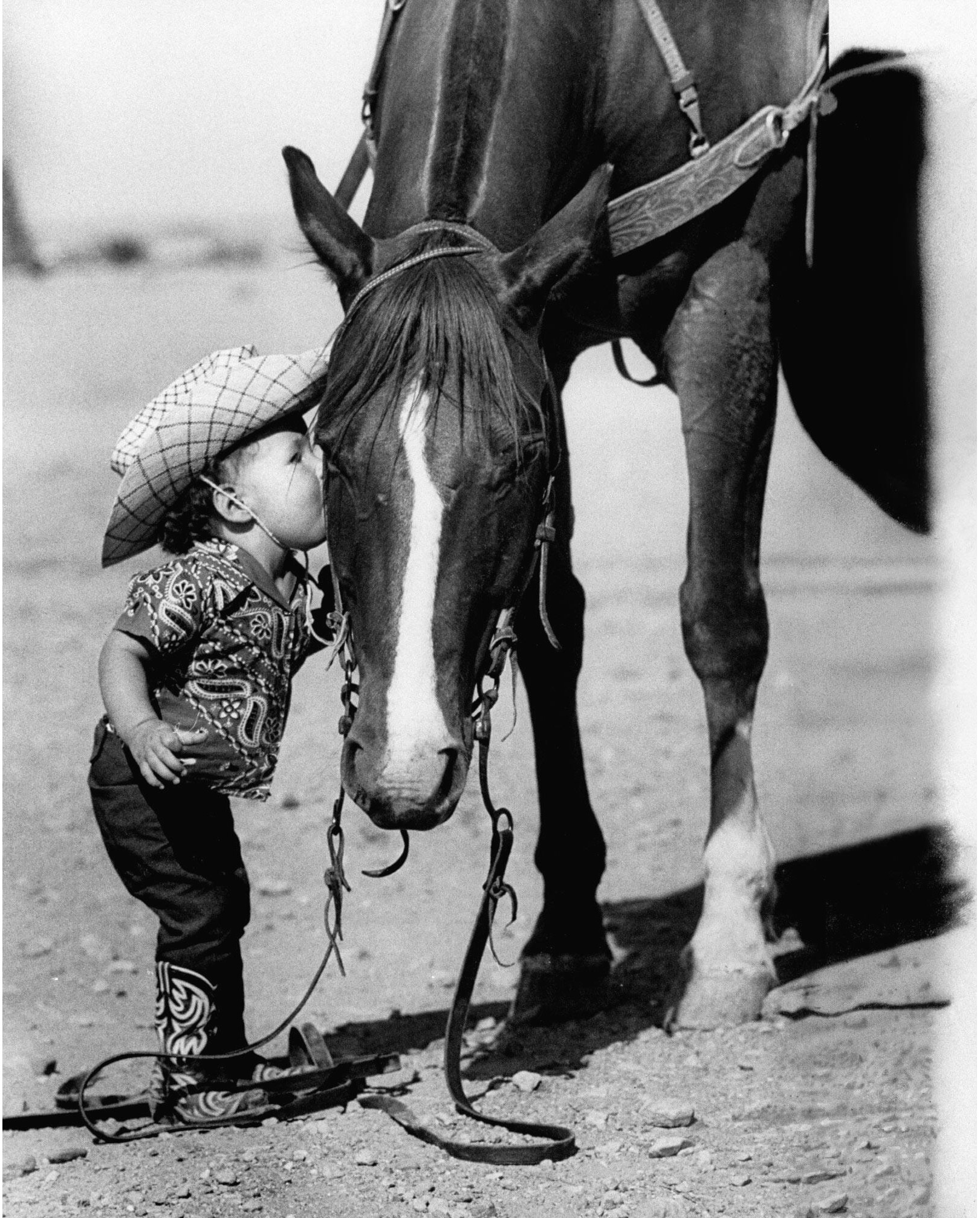Юная техаска целует свою лошадь, Техас, США, 1955 год, фотограф Аллан Грант