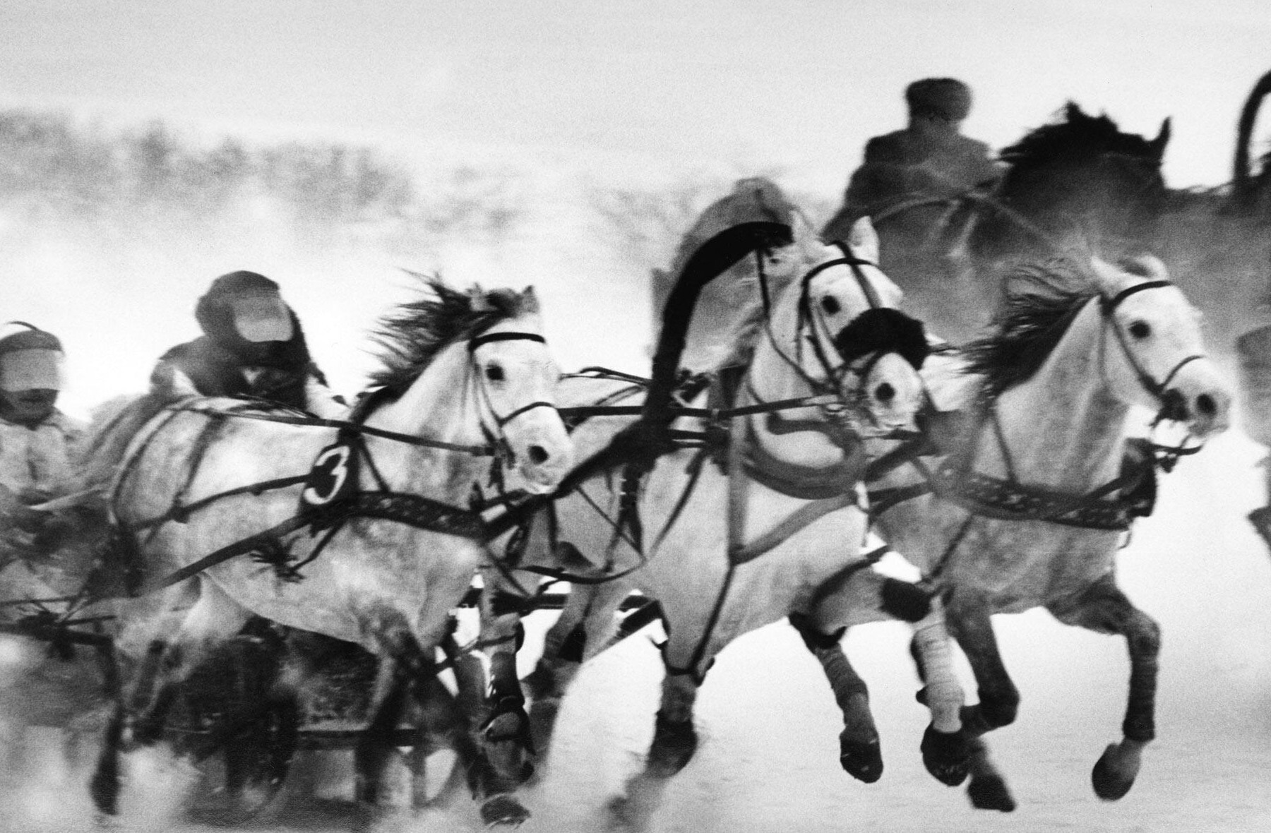 Гонка троек на Центральном Московском ипподроме, 1963 год