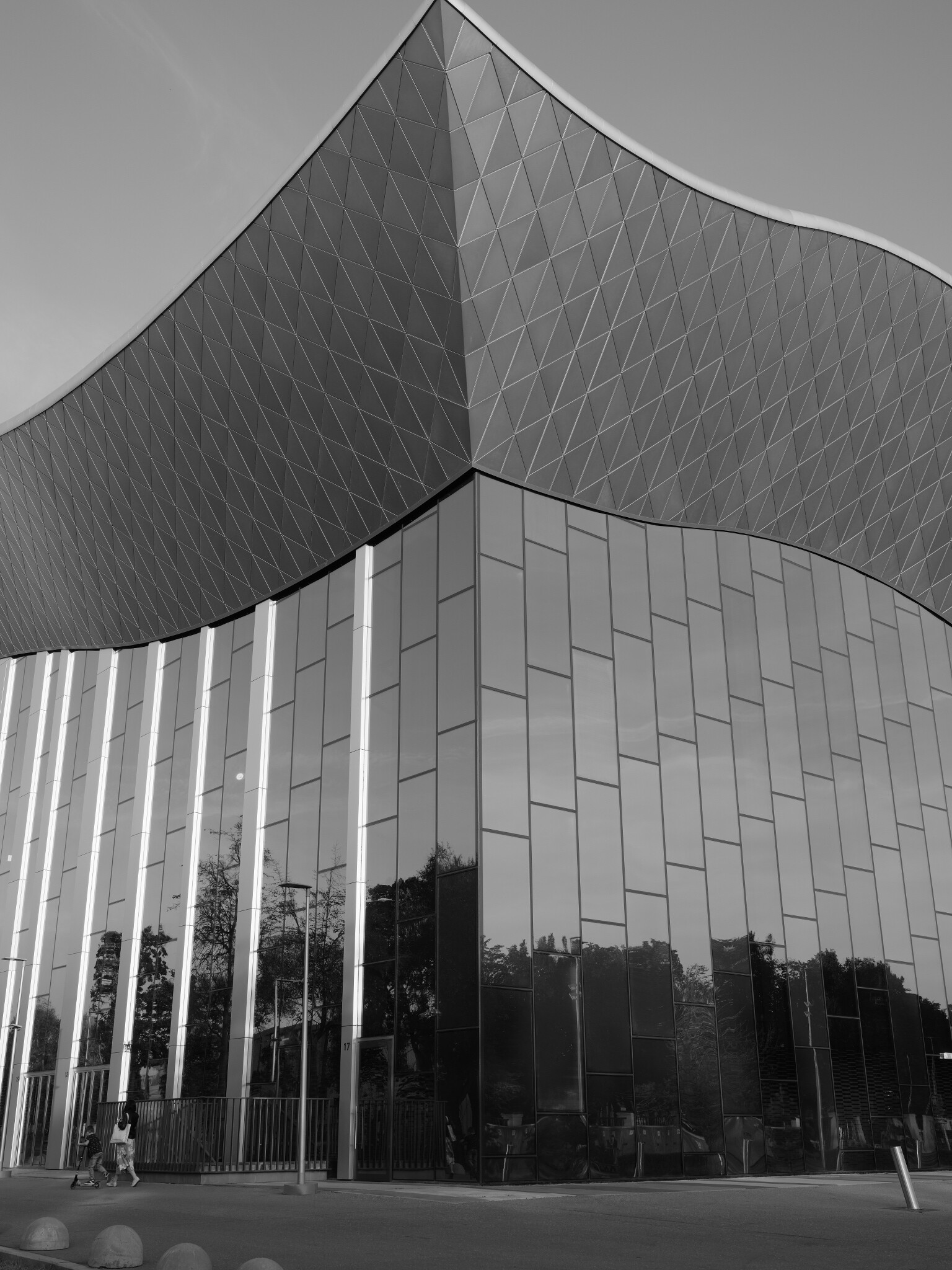 Sergey Nikolaev — фотоистория — 26 сентября 2025 года