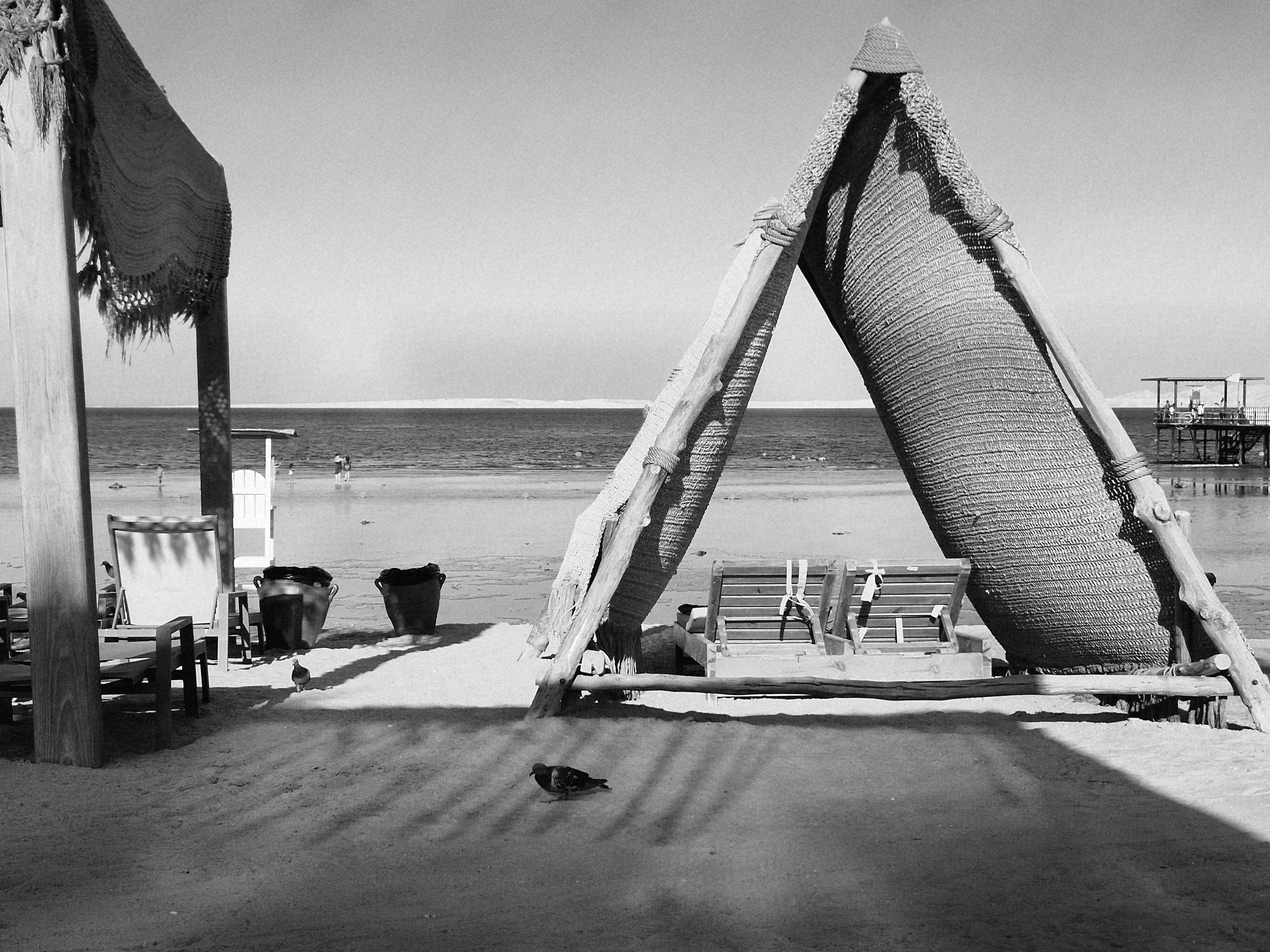 Пляж у отеля. Шарм-эль-Шейх, лето 2025 (1)