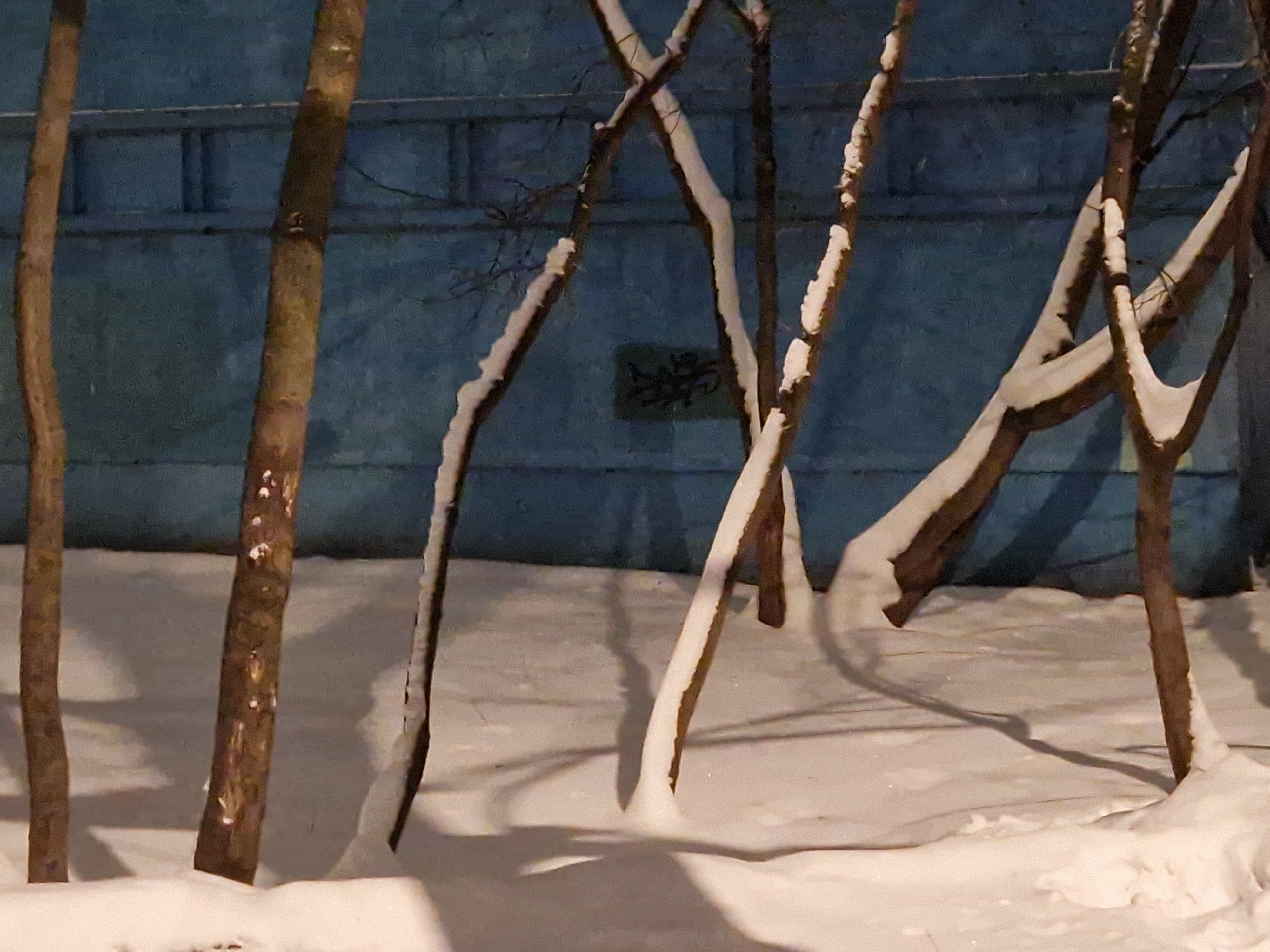 Sergey Nikolaev — фотоистория — 10 января 2026 года