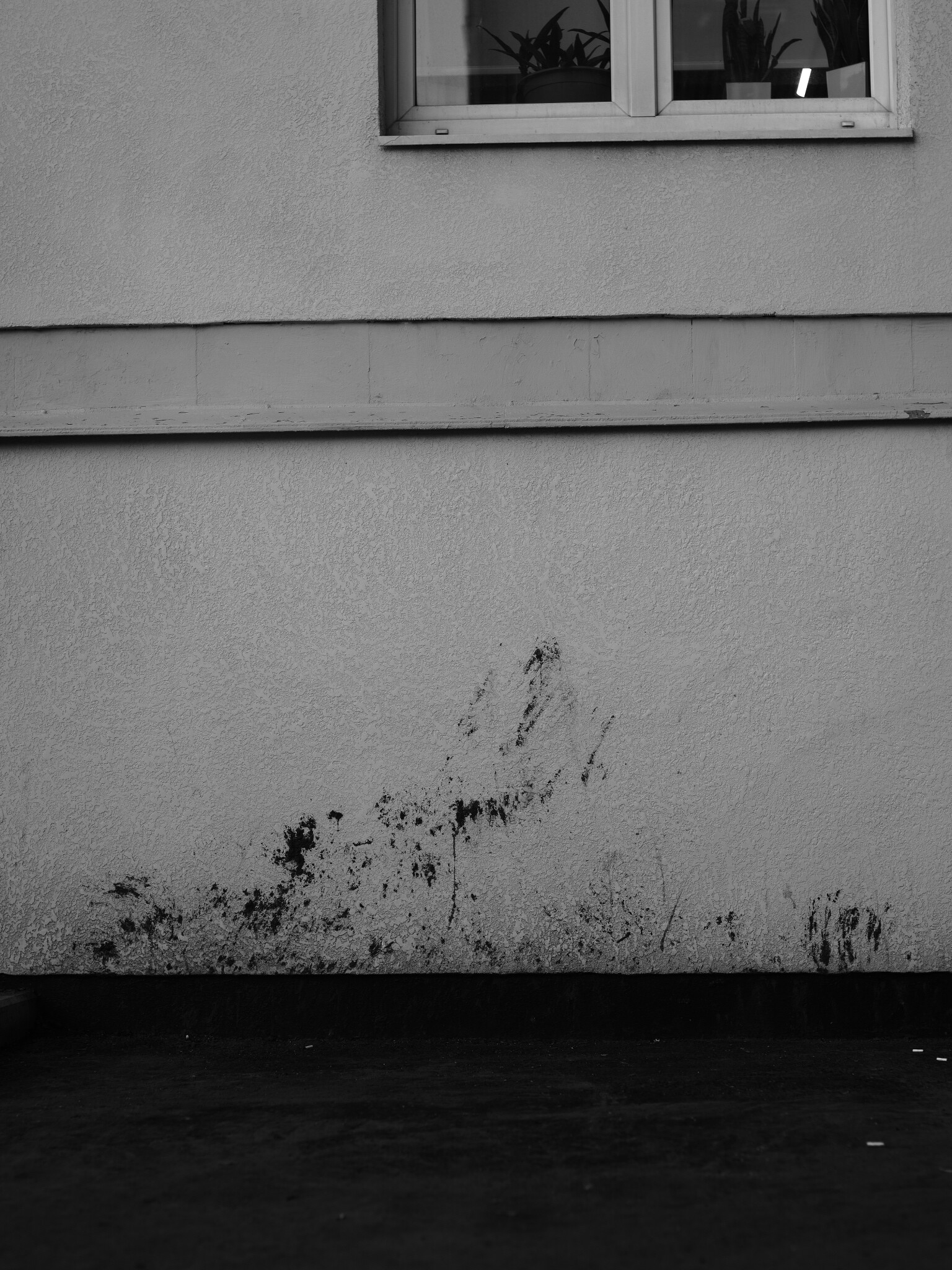 Sergey Nikolaev — фотоистория — 21 марта 2026 года