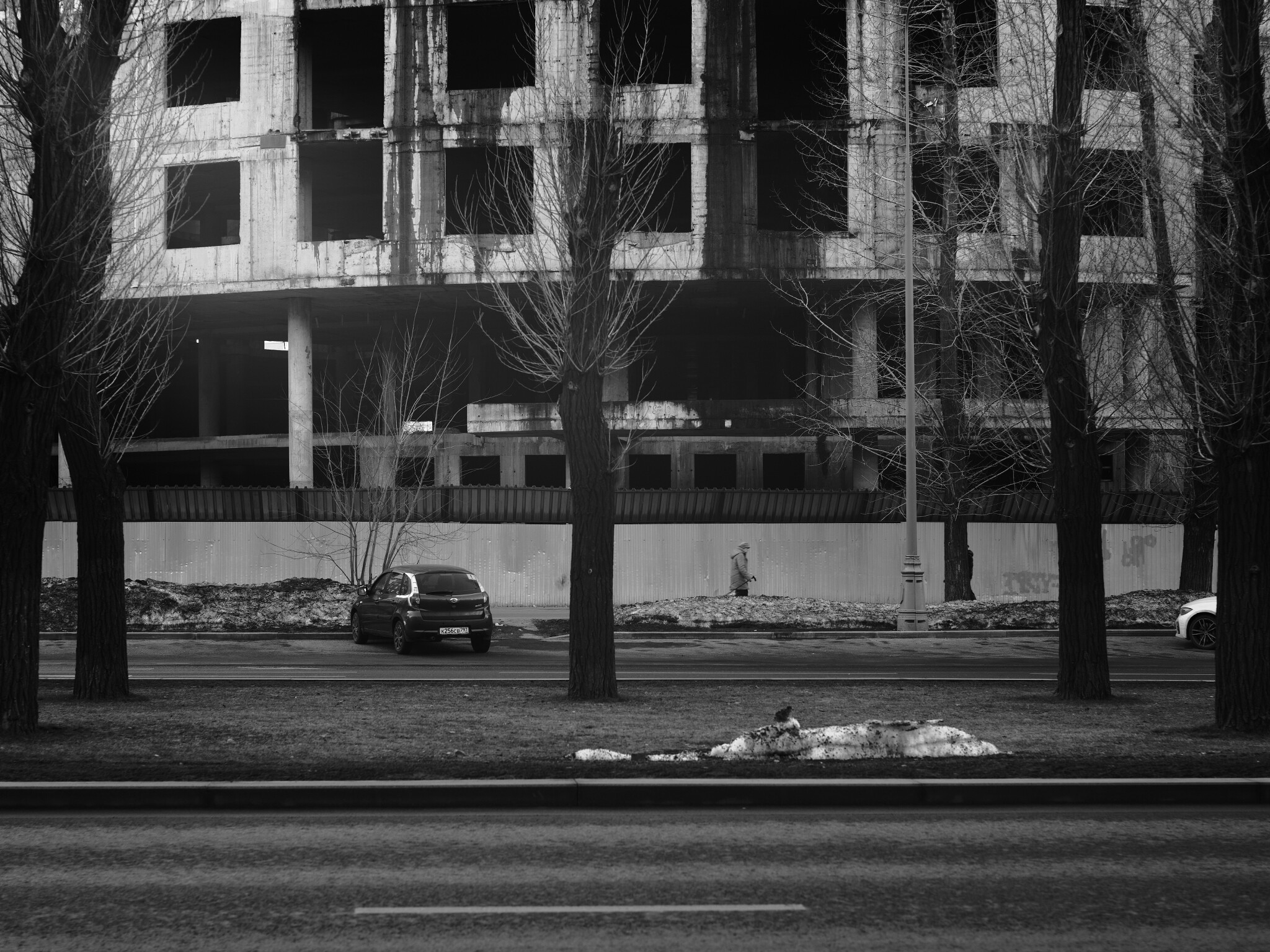 Sergey Nikolaev — фотоистория — 21 марта 2026 года