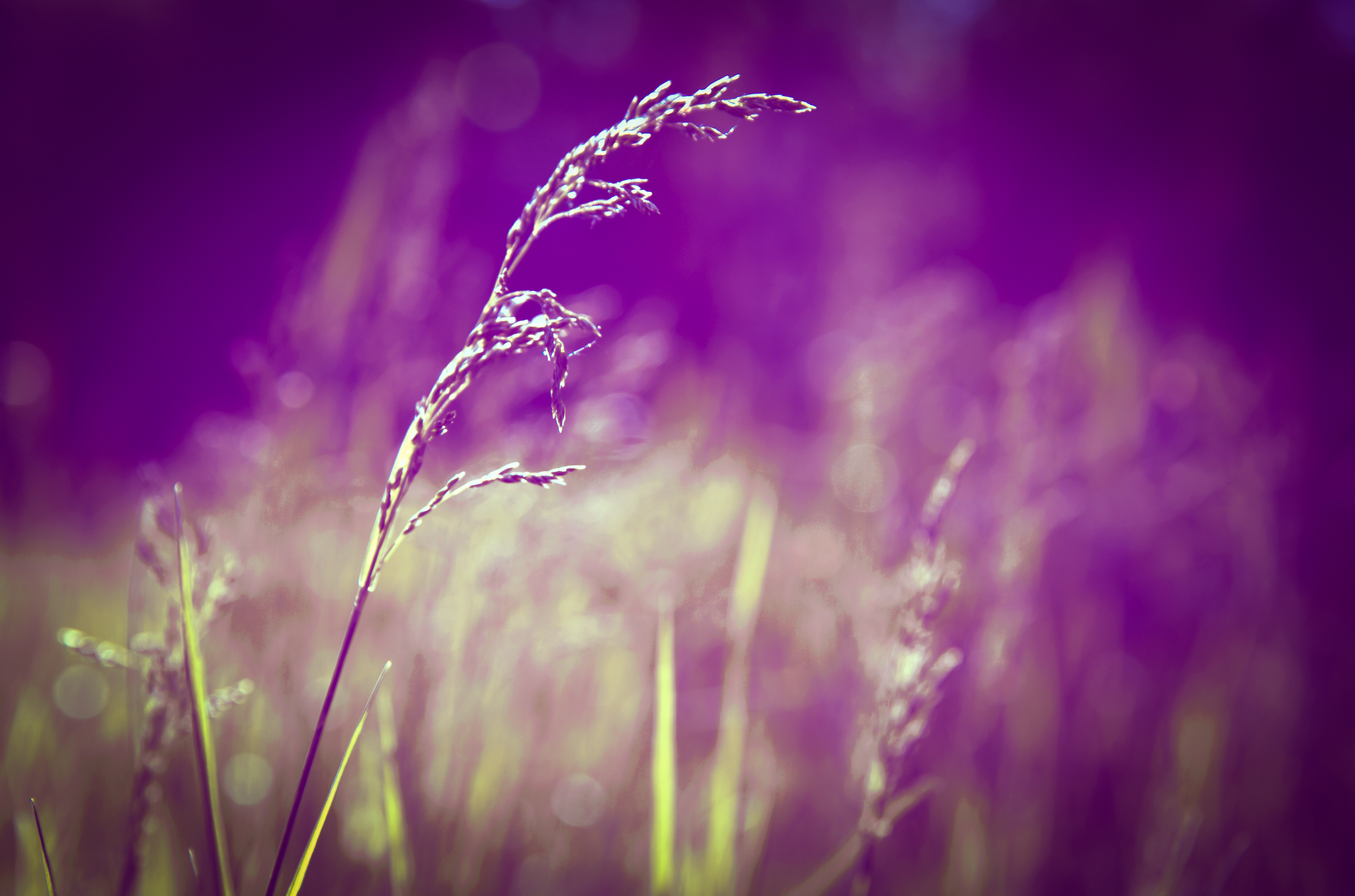 Olgakirpi — фотоистория — 29 сентября 2025 года