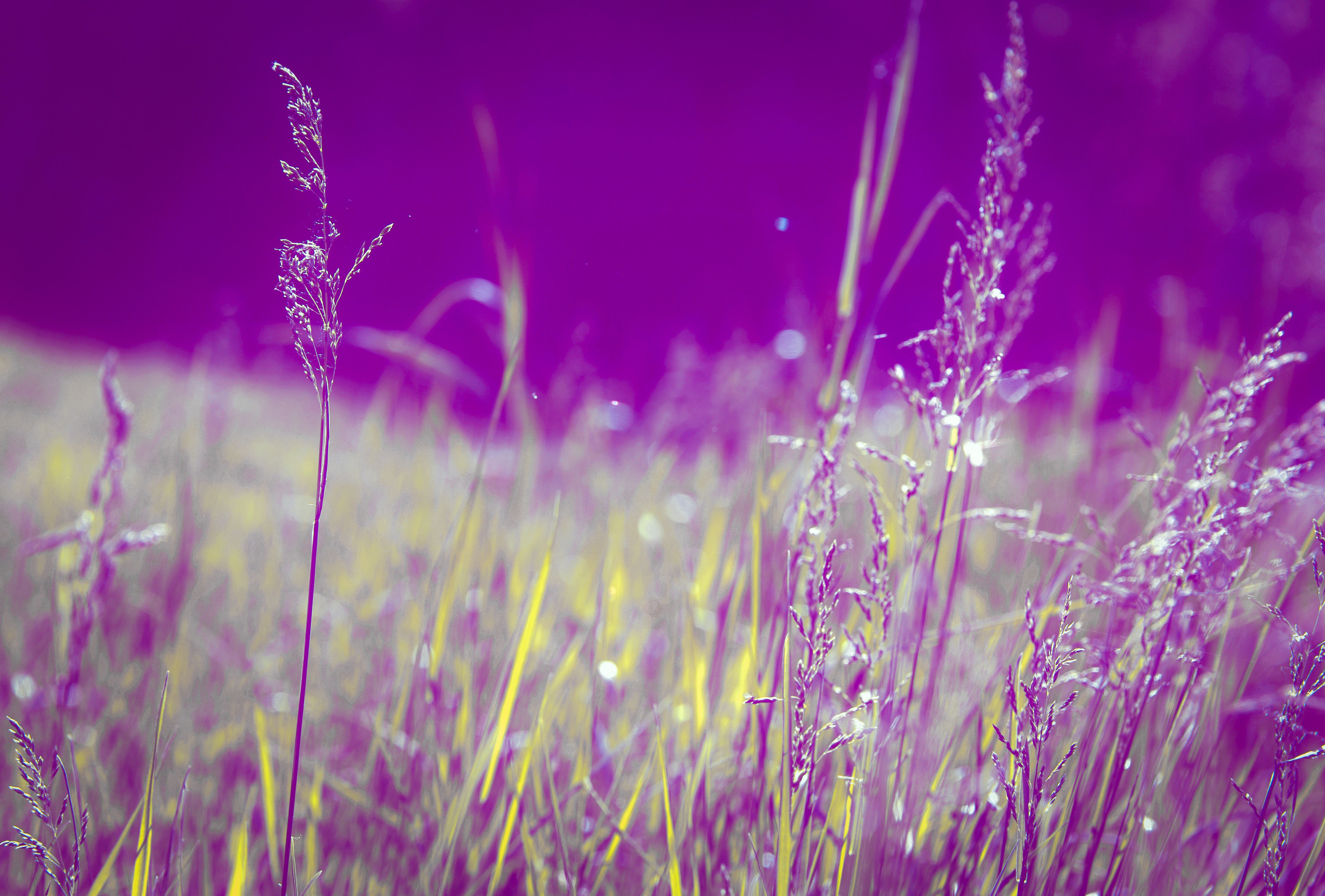 Olgakirpi — фотоистория — 29 сентября 2025 года