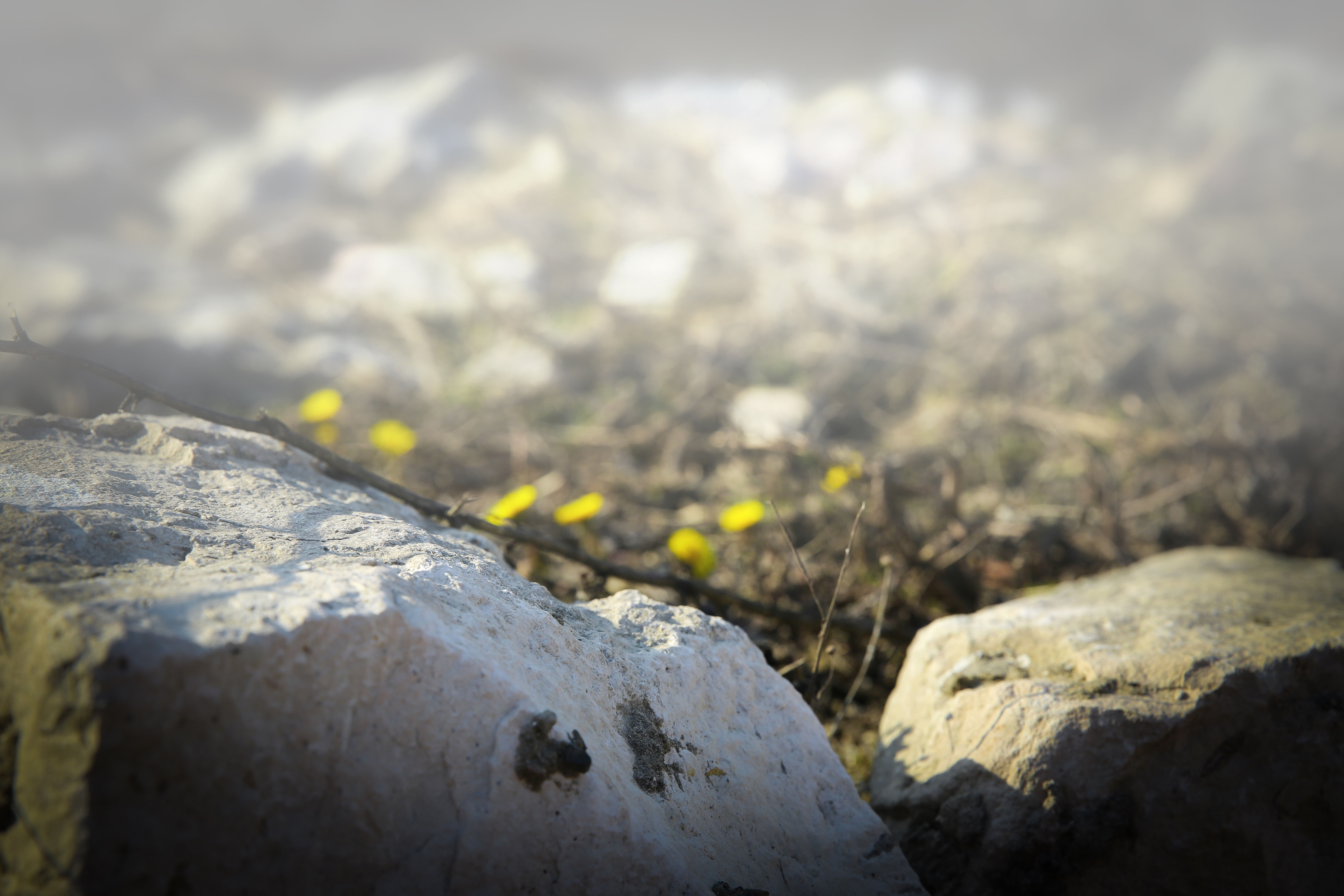 Olgakirpi — фотоистория — 29 сентября 2025 года