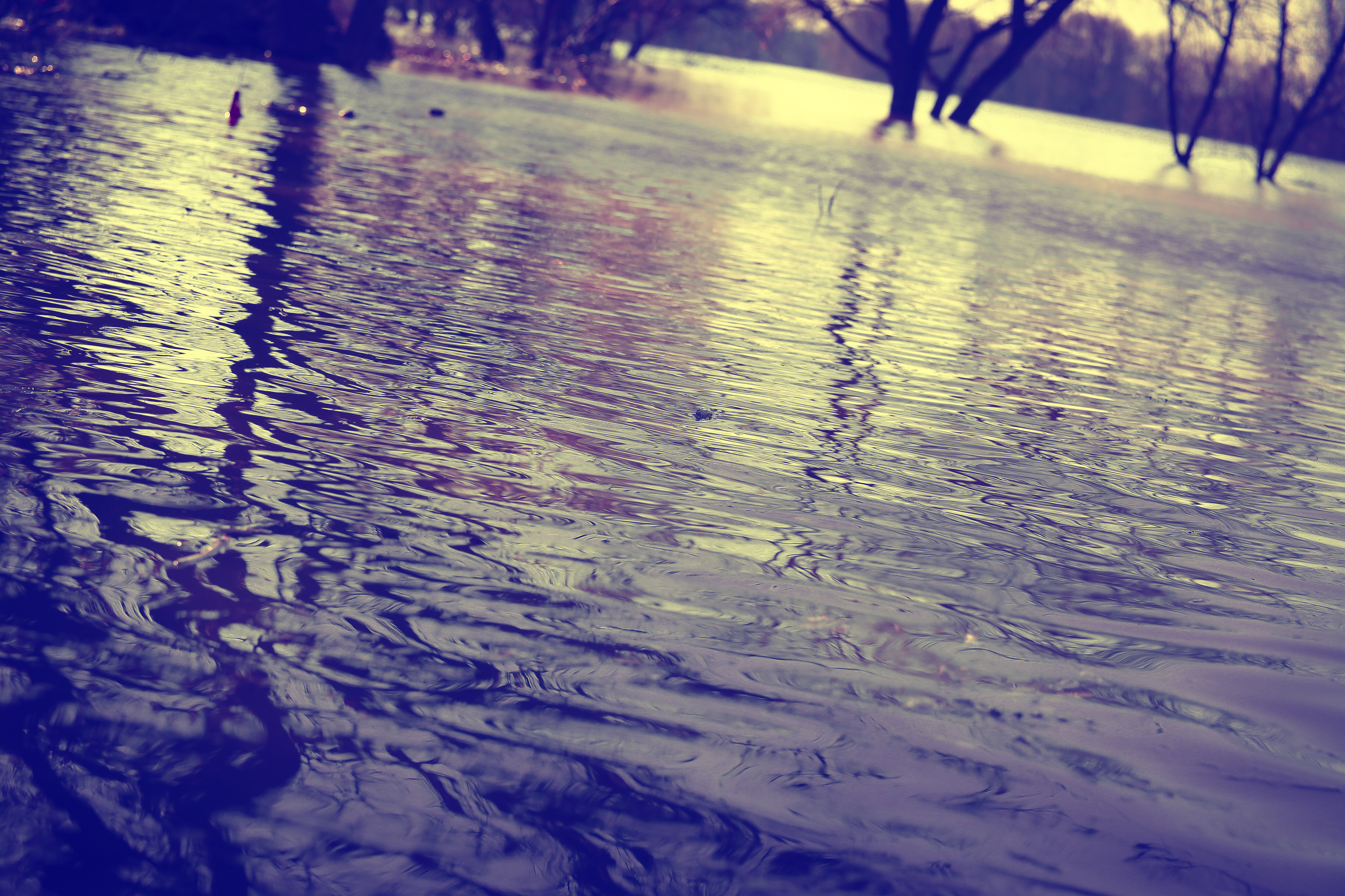 Olgakirpi — фотоистория — 29 сентября 2025 года