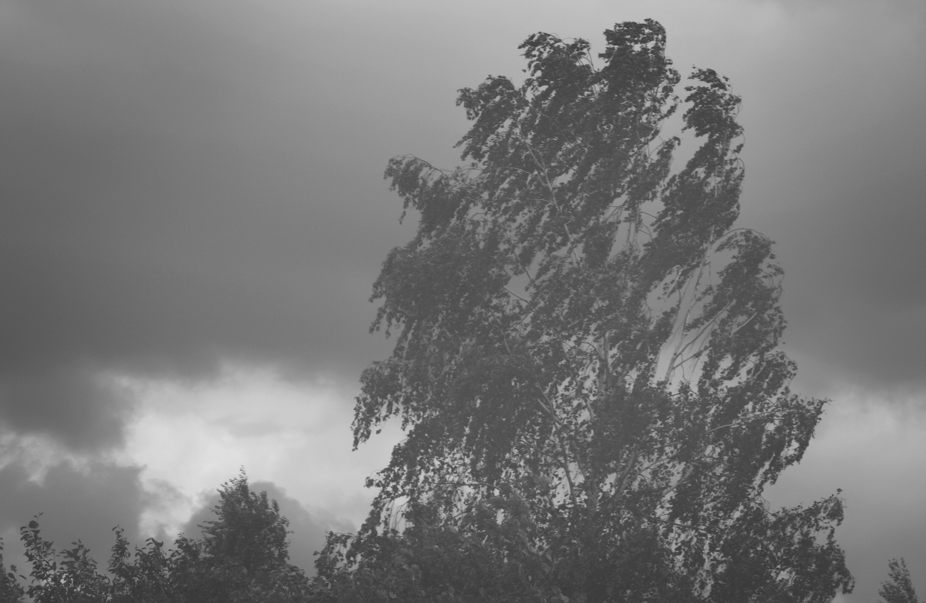 Olgakirpi — фотоистория — 29 сентября 2025 года