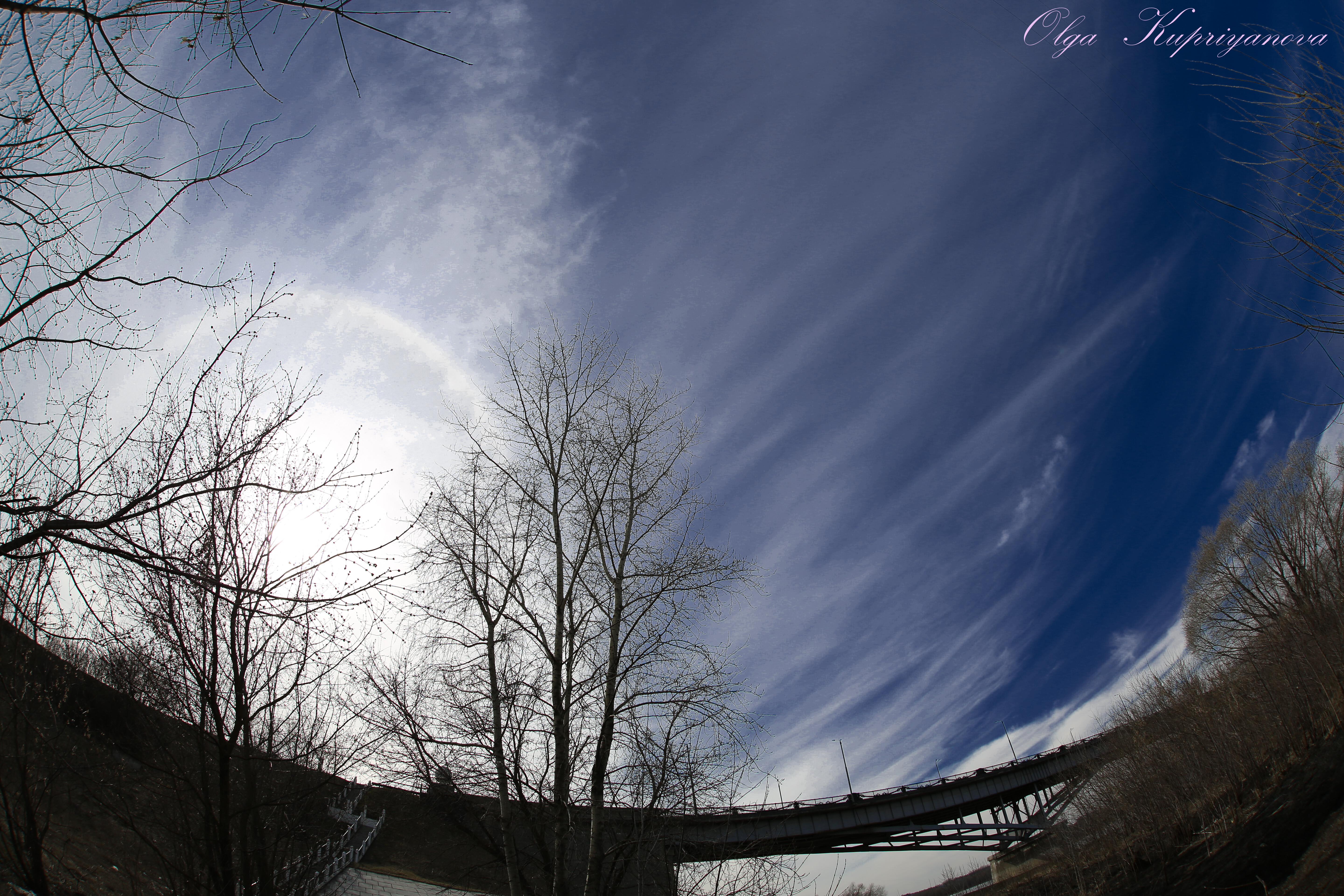 Olgakirpi — фотоистория — 29 сентября 2025 года